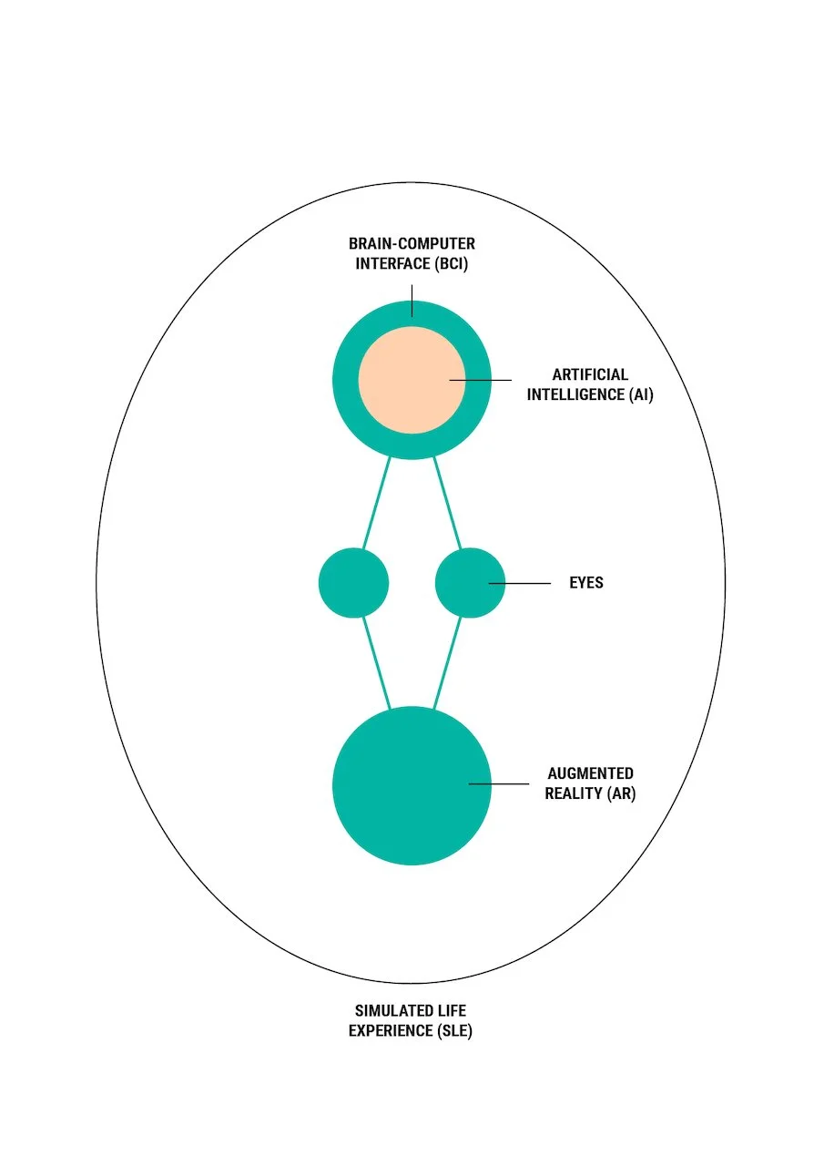 Simulated Life Experience diagram 2.jpeg