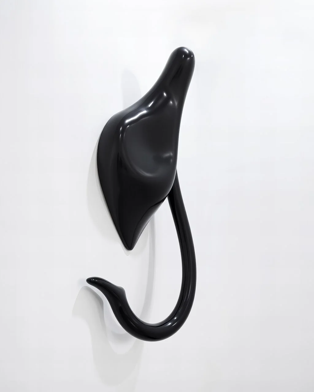 St Lawrence University 2024 gallery work 14.jpeg