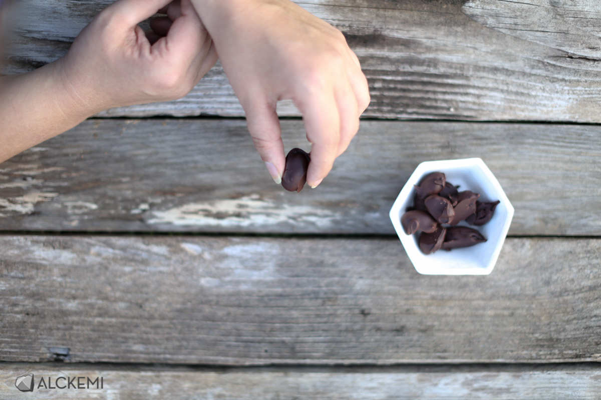 jb-chocolates-alckemi_20168390803_o.jpg