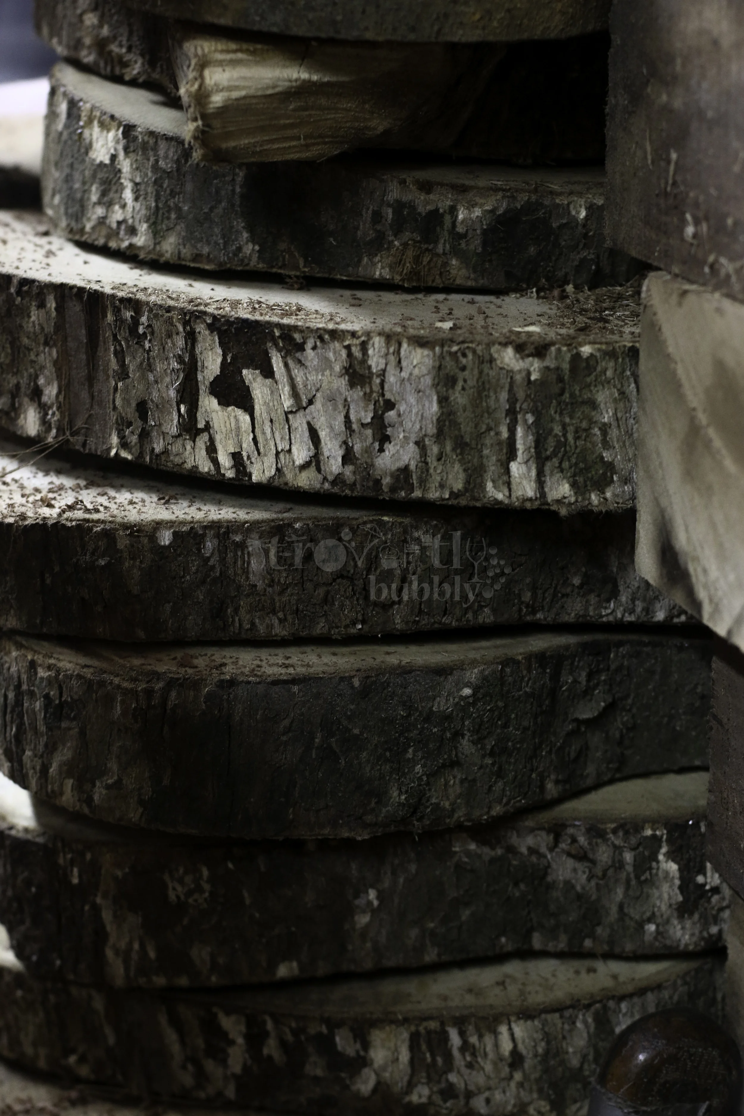 Artisan+Series++At+Home+with+Arthur-61.jpg