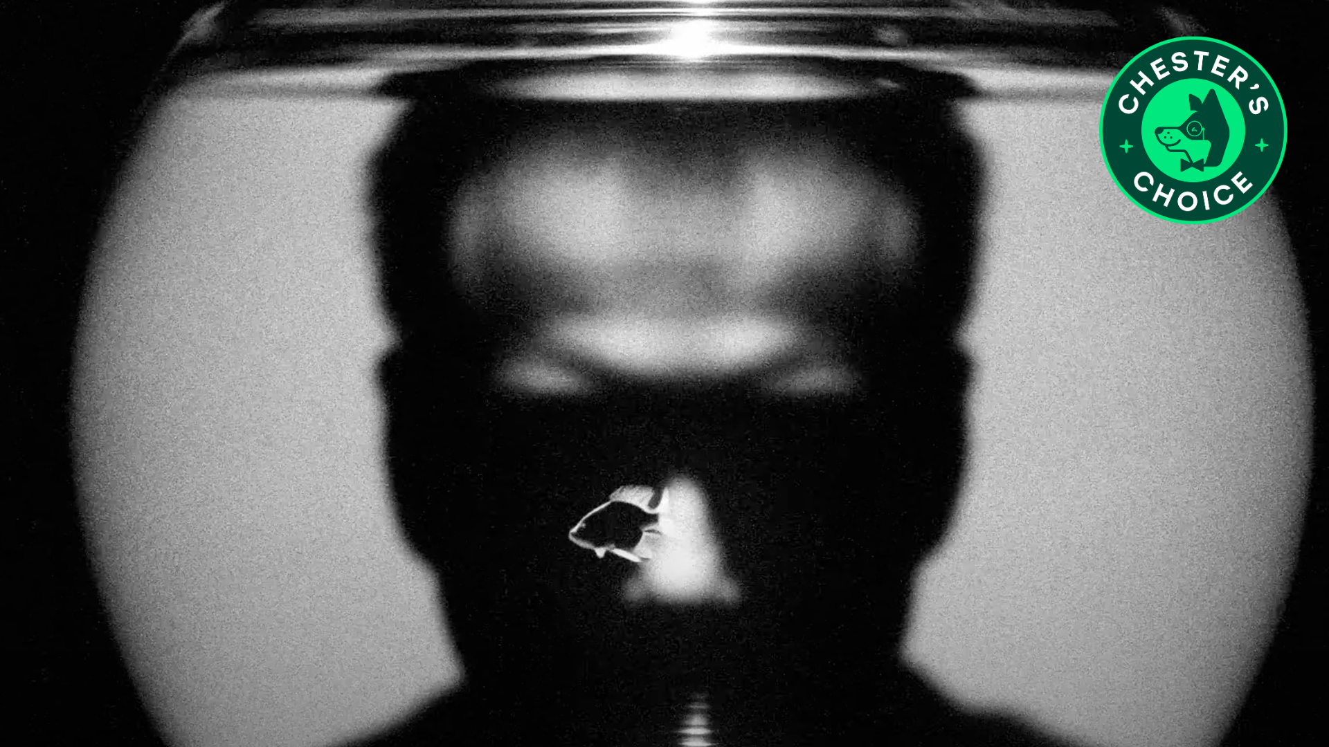 Antonomasia | An AI Short Film