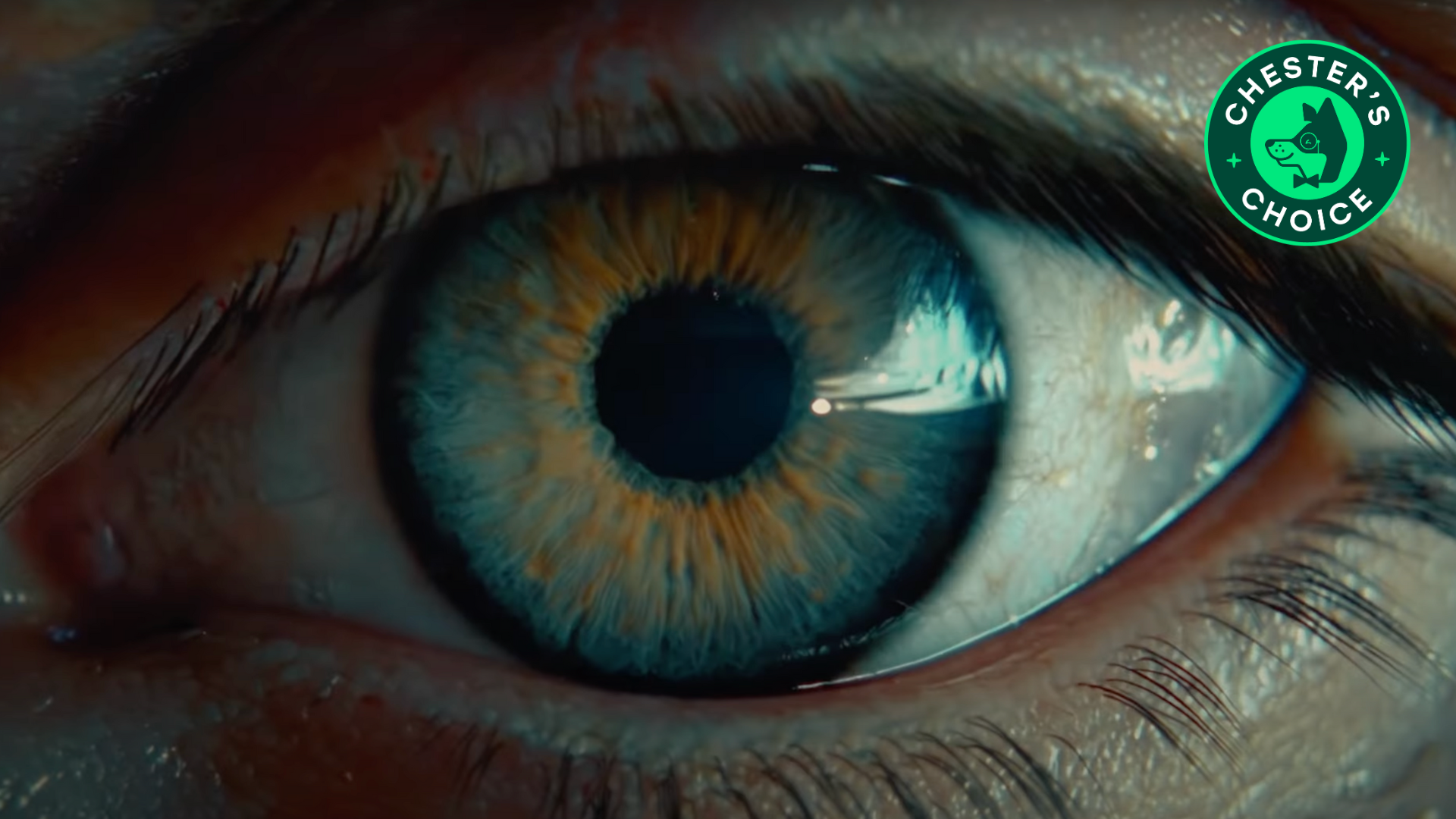 IM8 | An AI Commercial