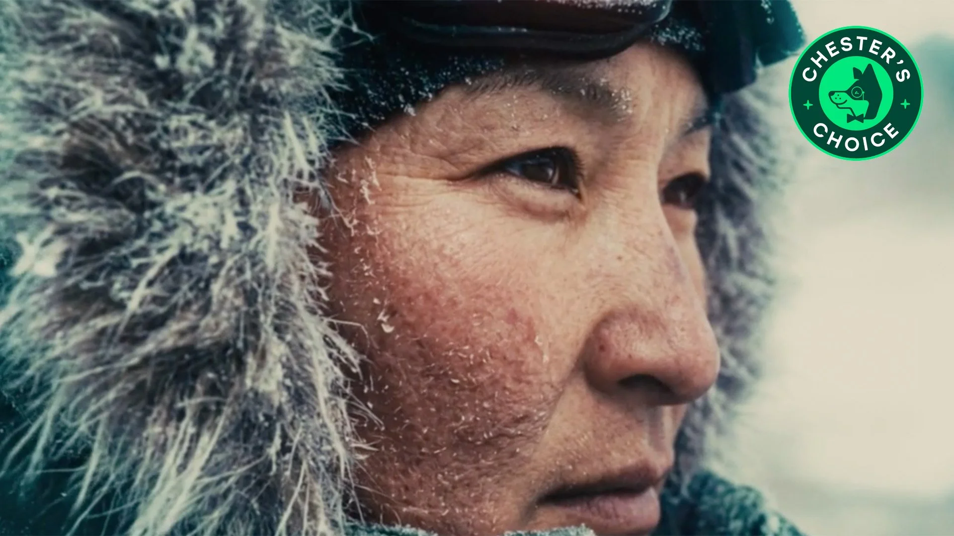 The Savage Mountain I An AI Short Film