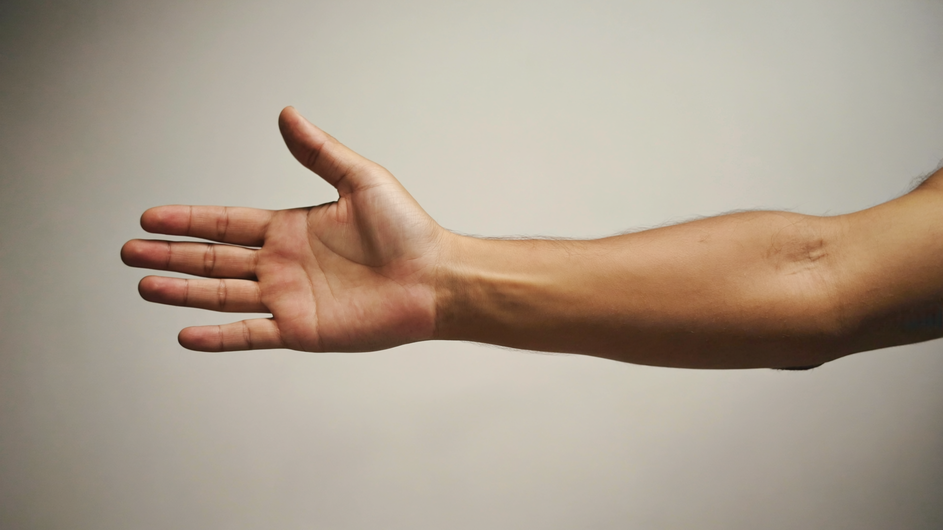 04 - Image of a Hand