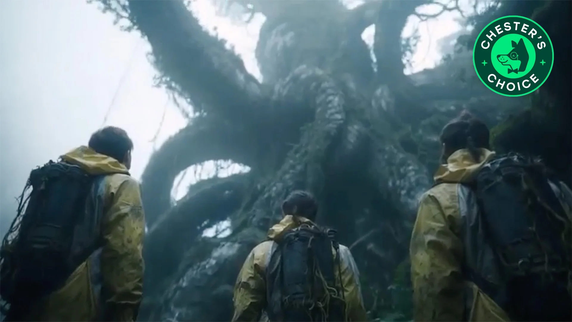 WOODNUTS | Sci-Fi Short AI Film