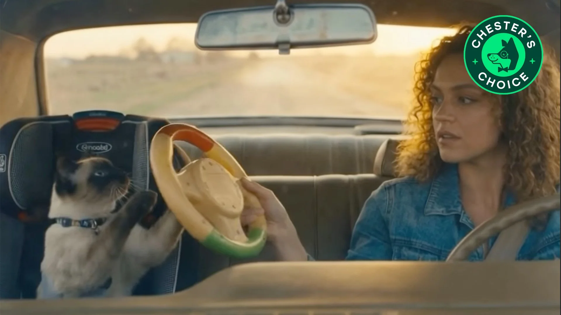 Cardboard Dreams I An AI Short Film