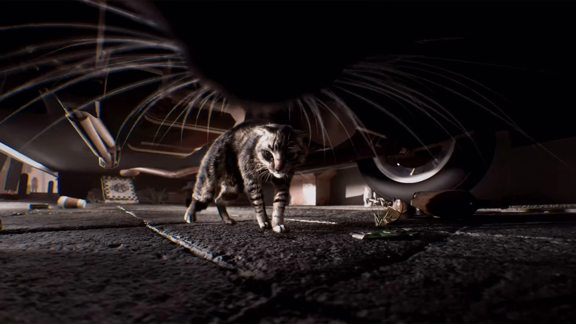 Cat POV I An AI Short Film