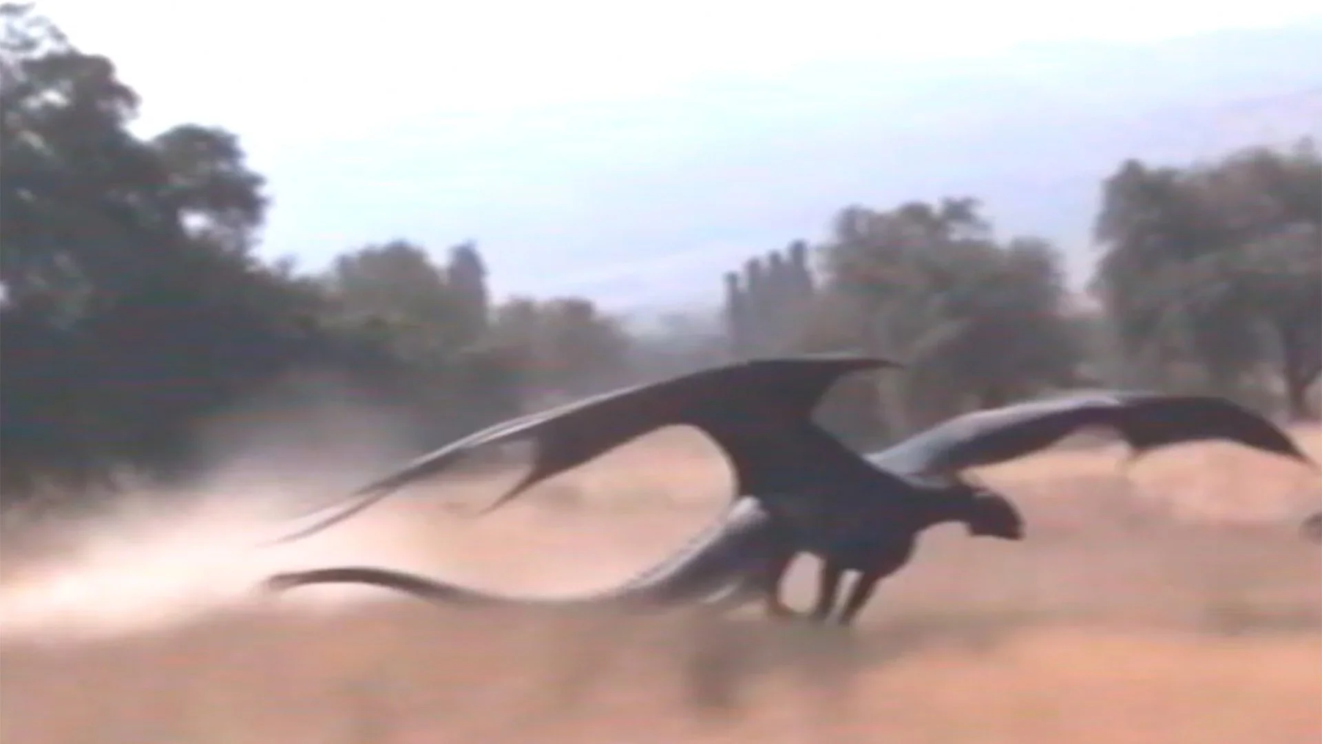 COSTA VERDE I An AI Short Film