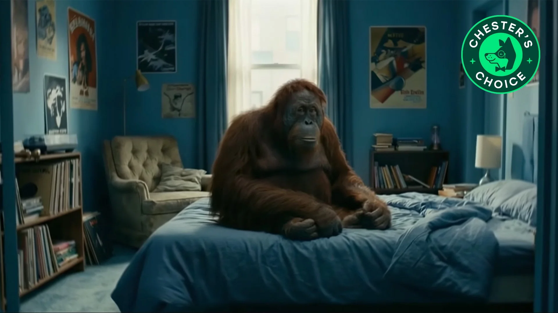 Grow Together I An AI Spec AD