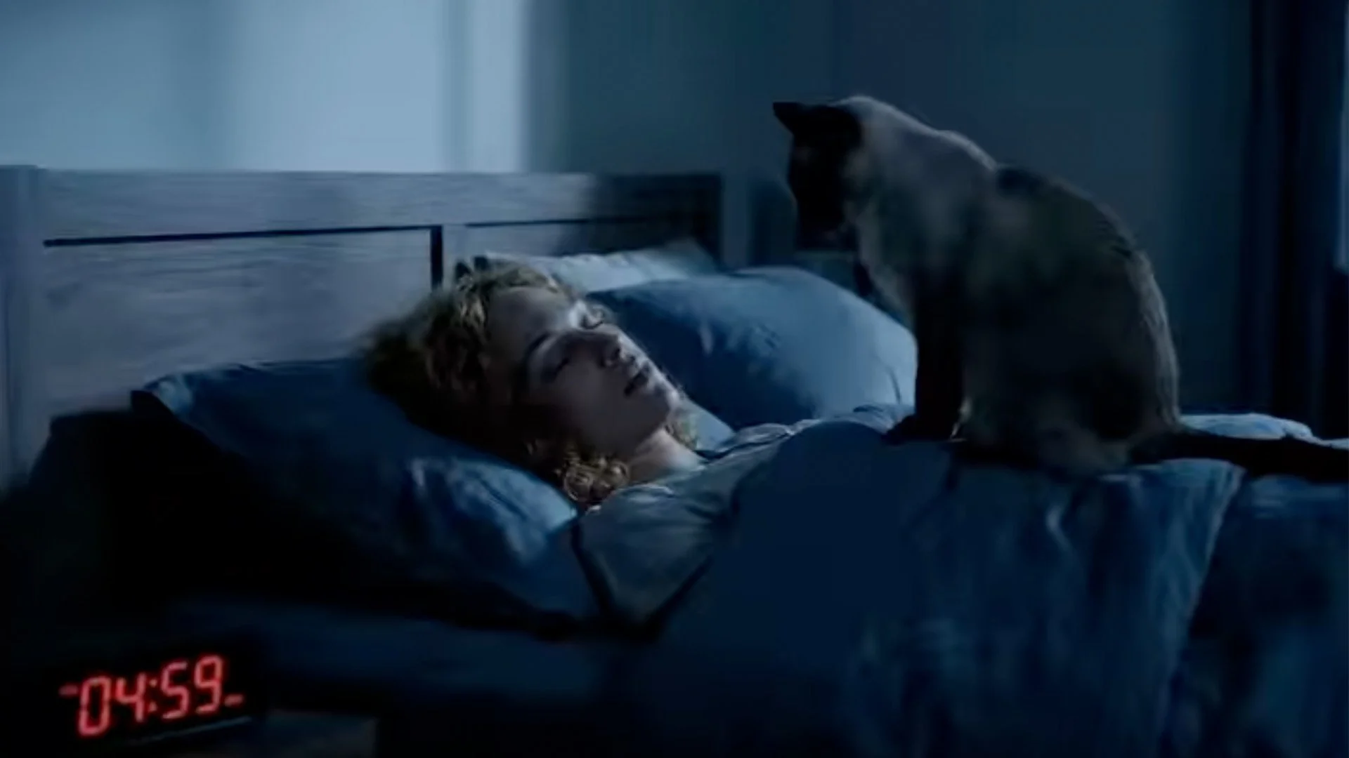 Why Cats Wake You Up at 5AM I An AI Short
