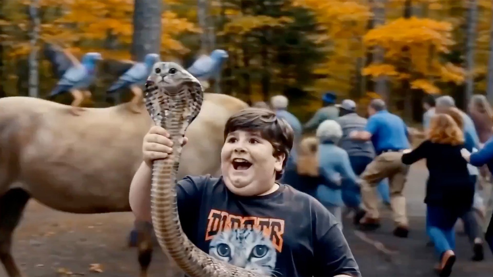 Higgsfield Video Showcase