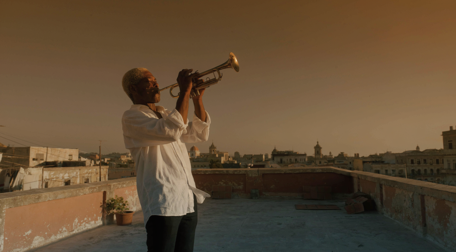 How to Generate AI Images Using Luma AI