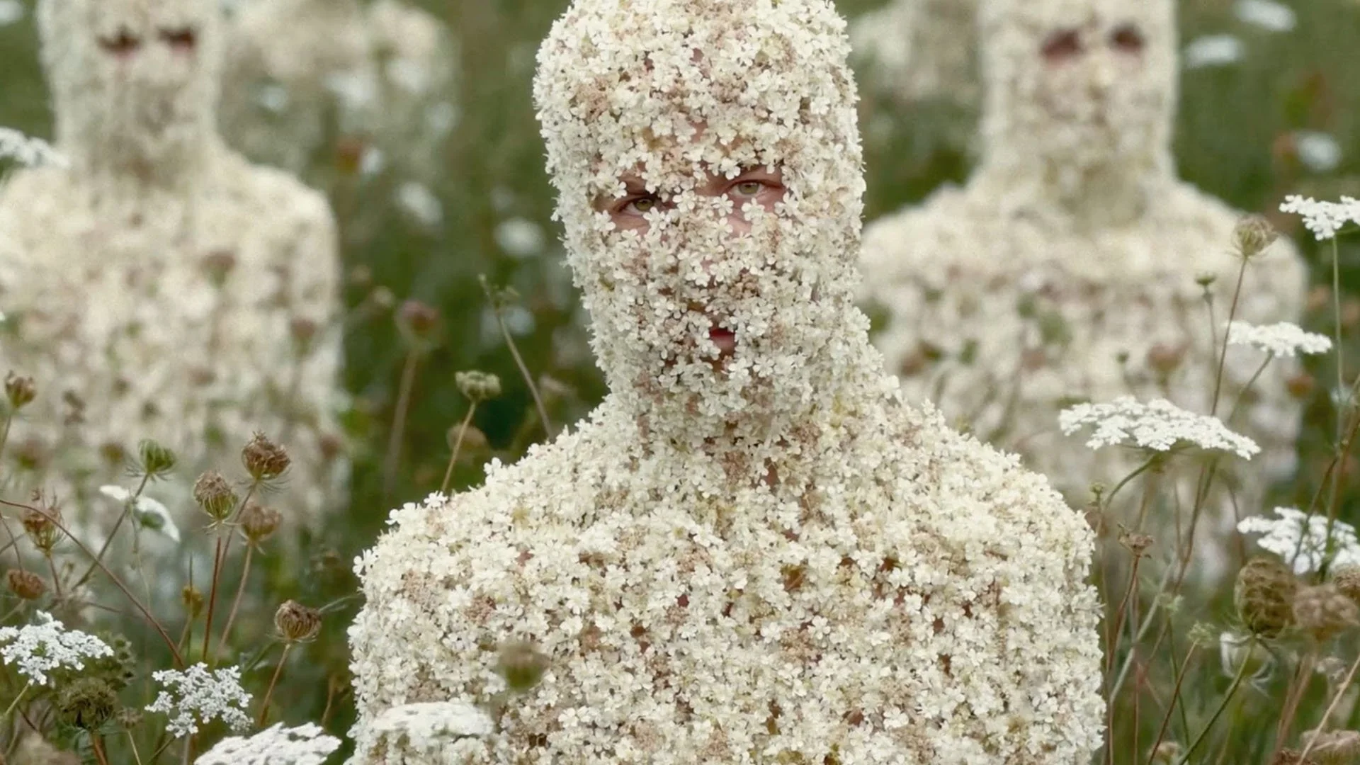 The Secret Life of Nordic Flora I AI Nature Documentary