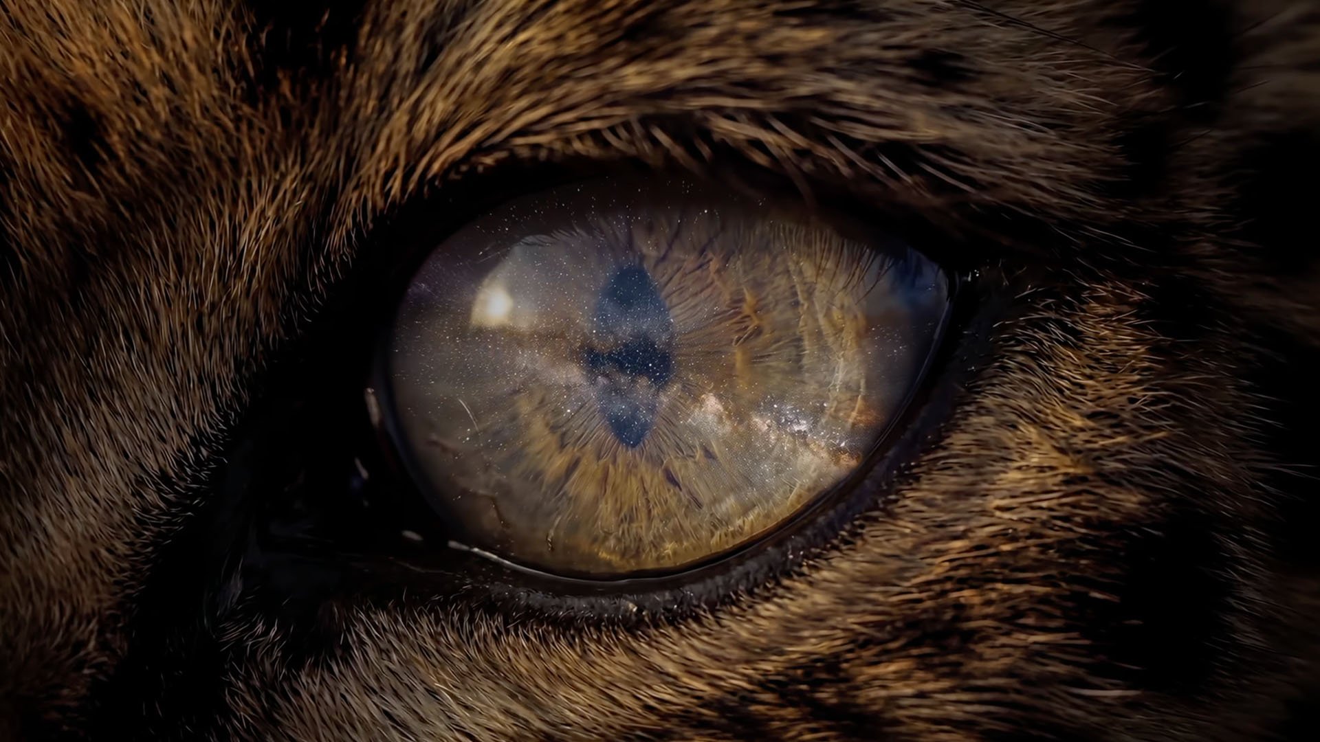 The Same Eye I AI Short Documentary Film