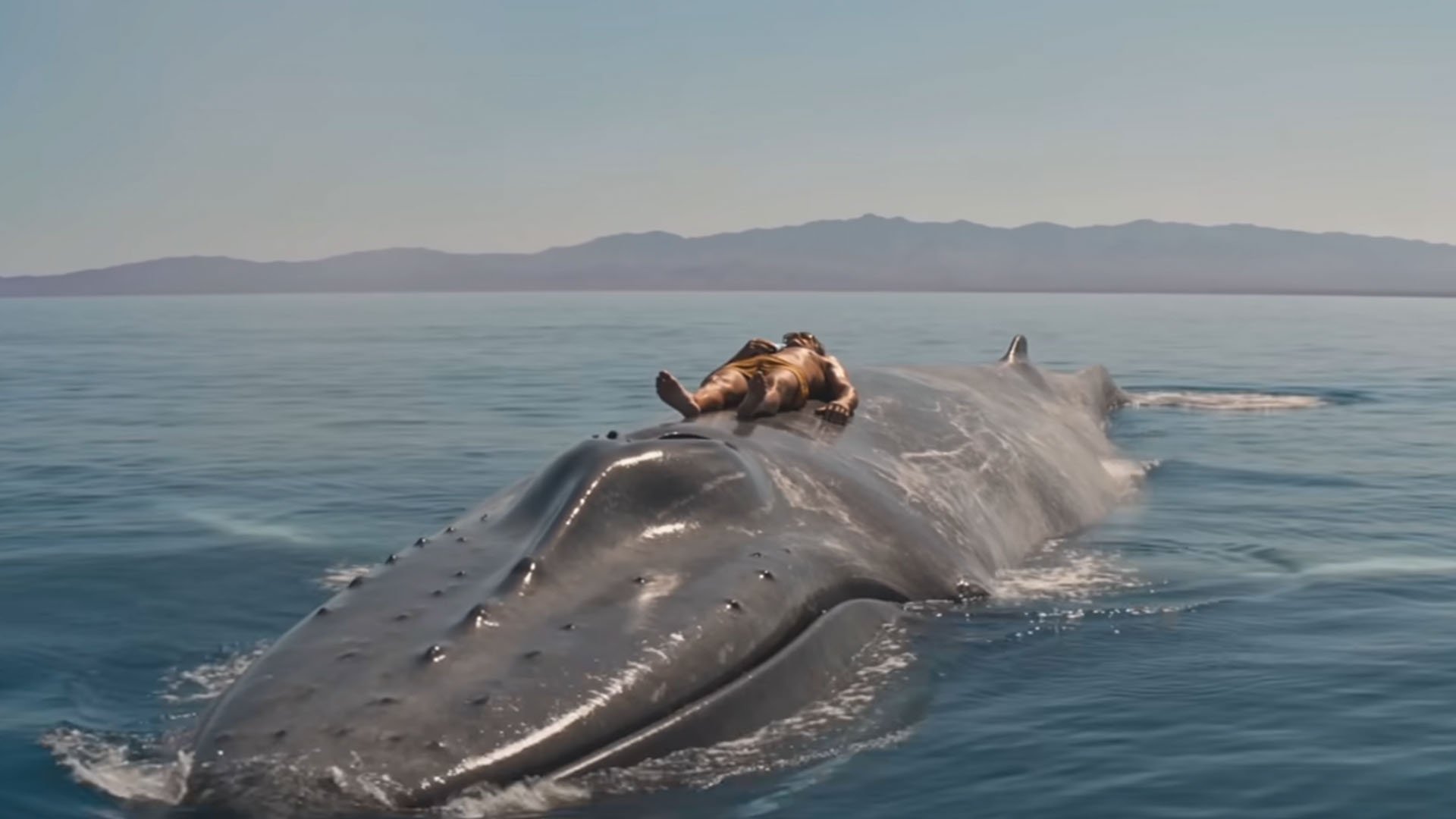 Whale Bather I AI Spec Ad