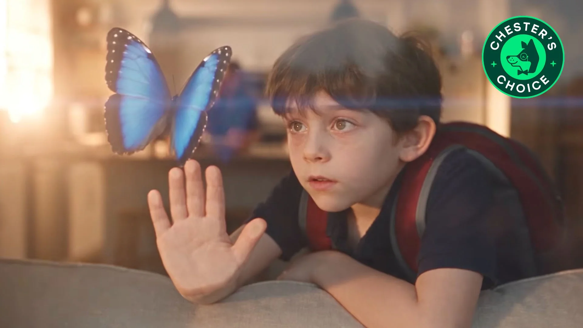The Butterfly Effect I AI Short Film