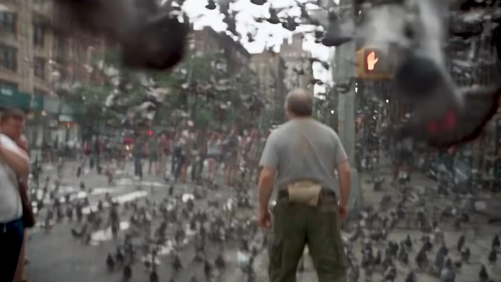 Pigeon Heist I AI Short Video