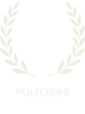 AI SCHOOL PULIZERS.png