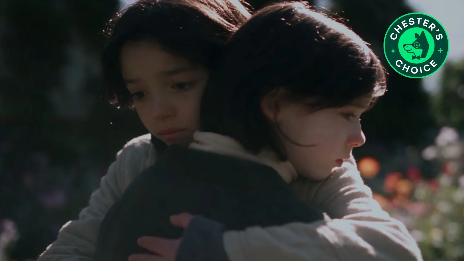 Five Minutes of Spring I AI Short Film