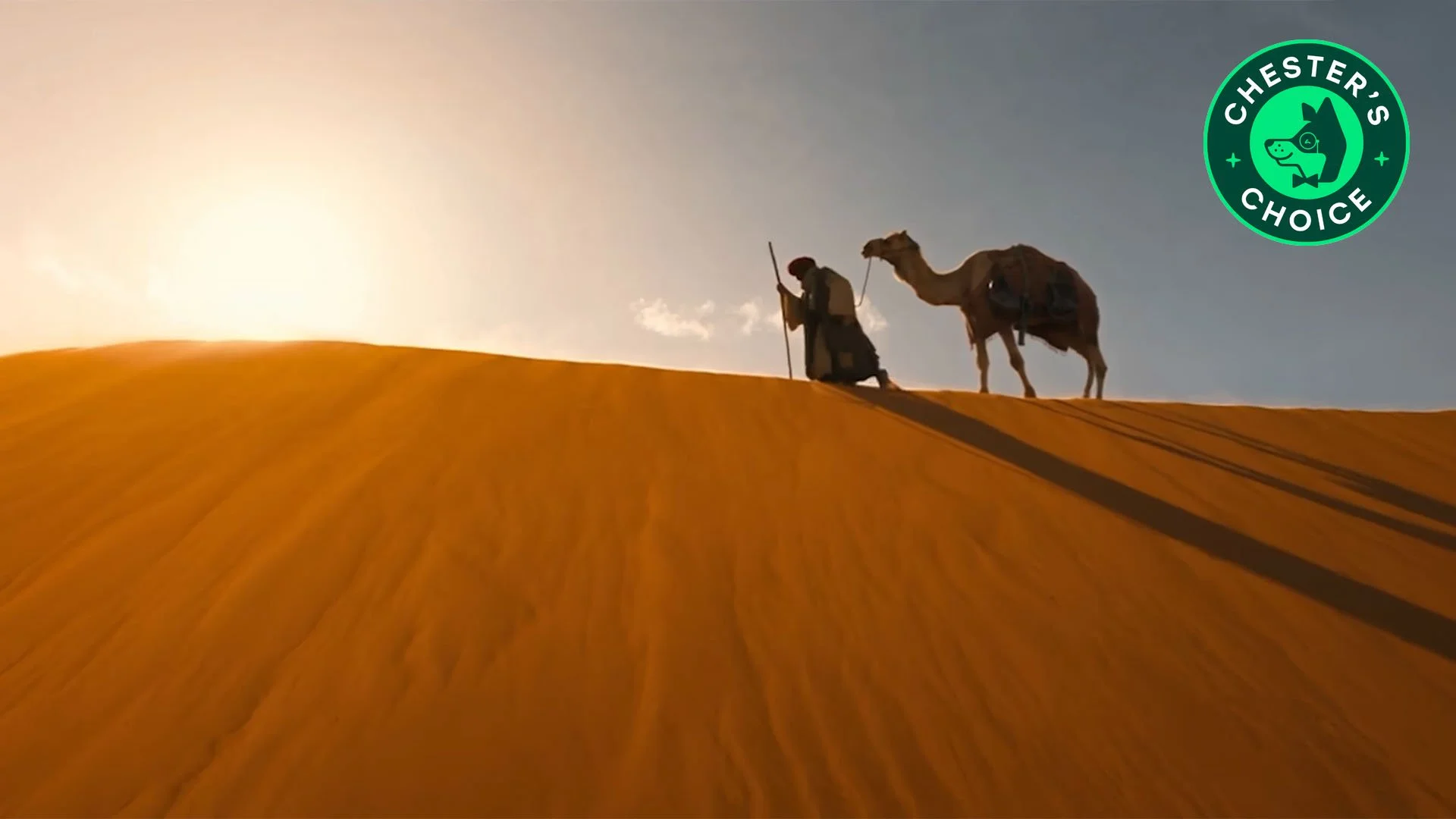 Camel I AI Short Film