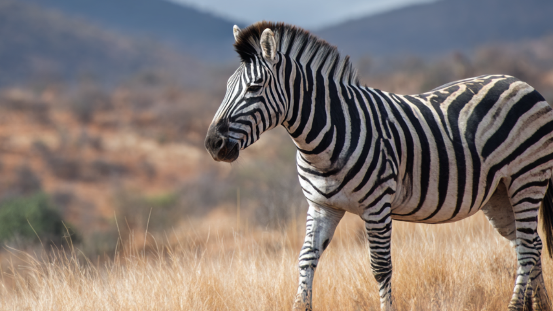 Best AI Image Upscalers for 2026 | Nano Banana Pro