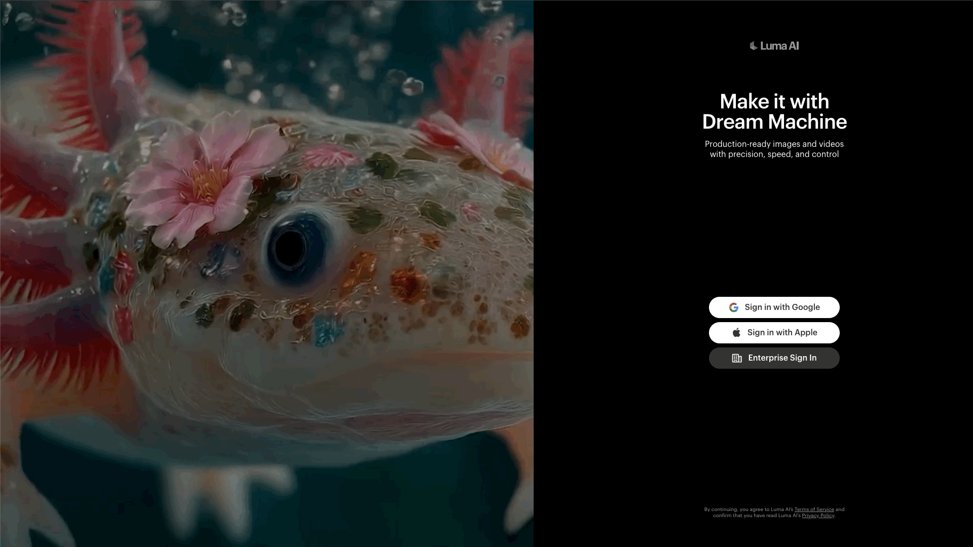 How to Generate AI Videos Using Luma AI | Step 2