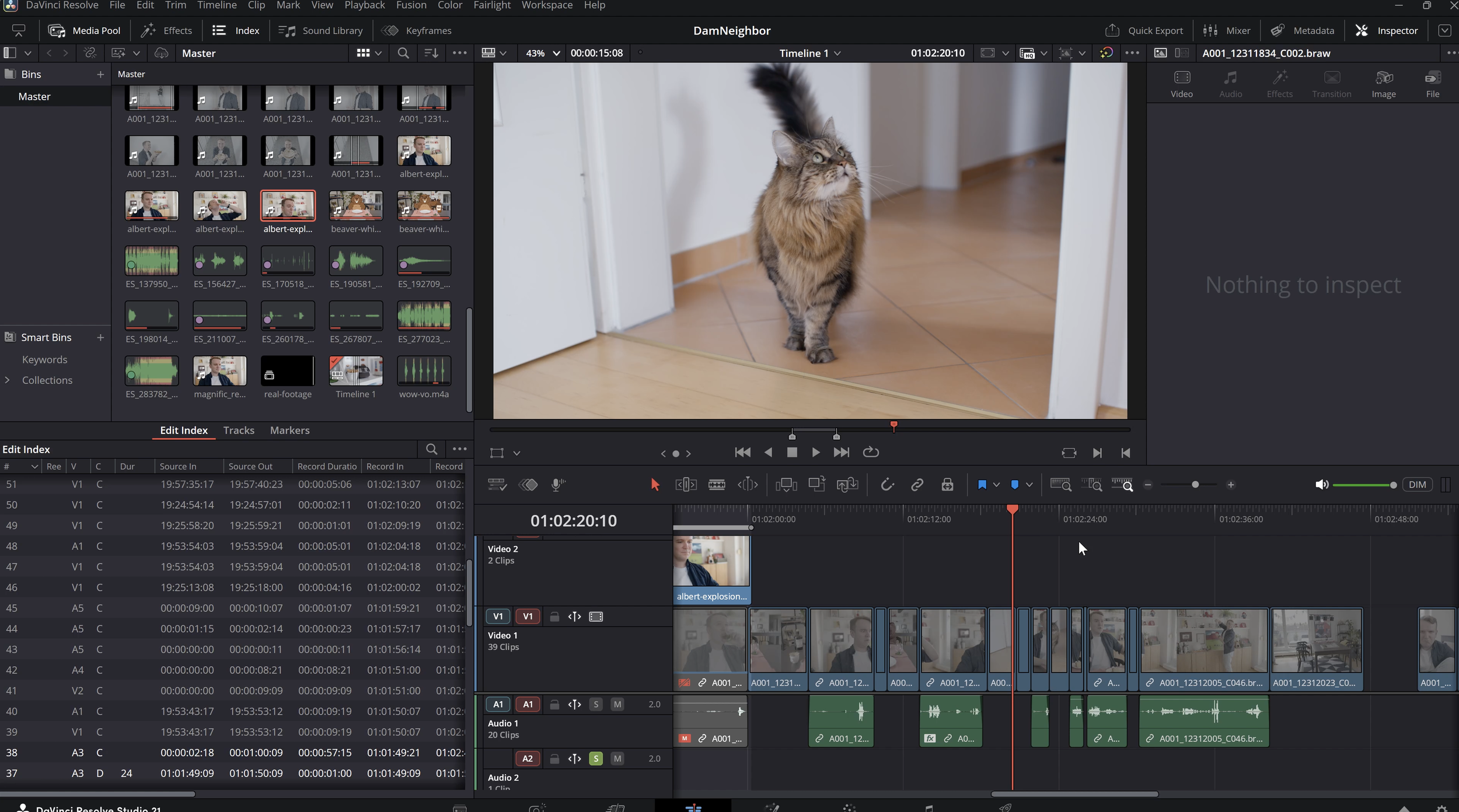 Generate the 2D Animation With Seedance 2.5