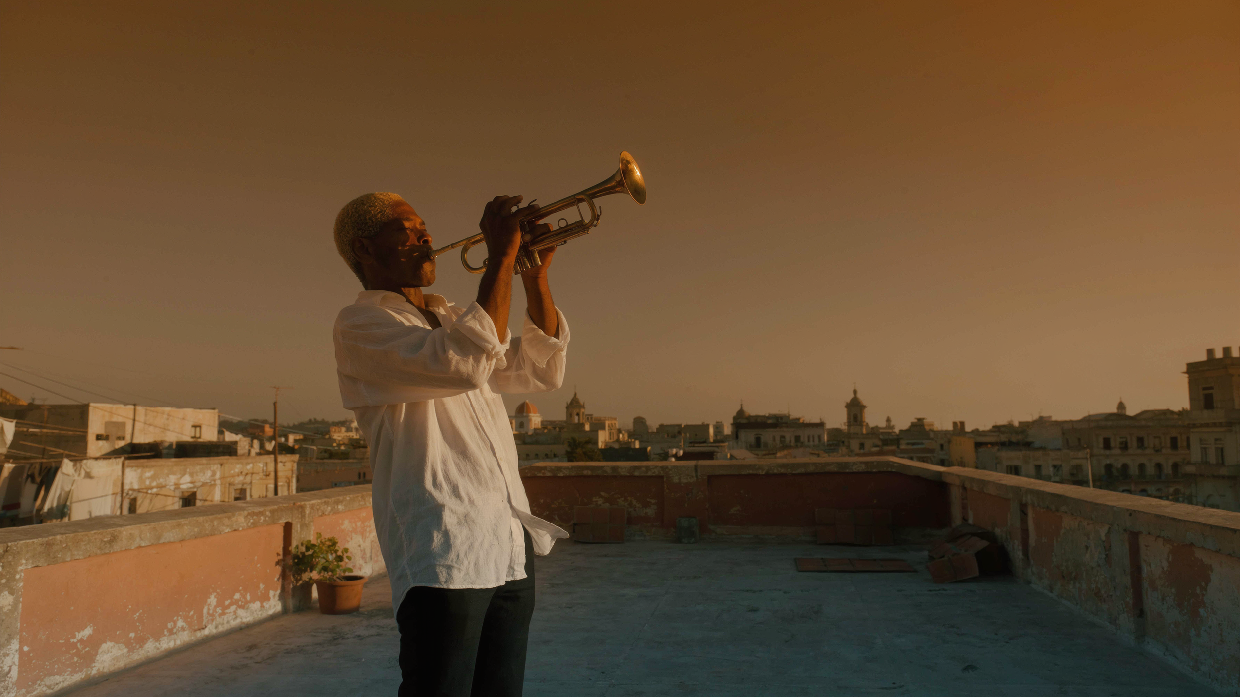 How to Generate AI Images Using Luma AI