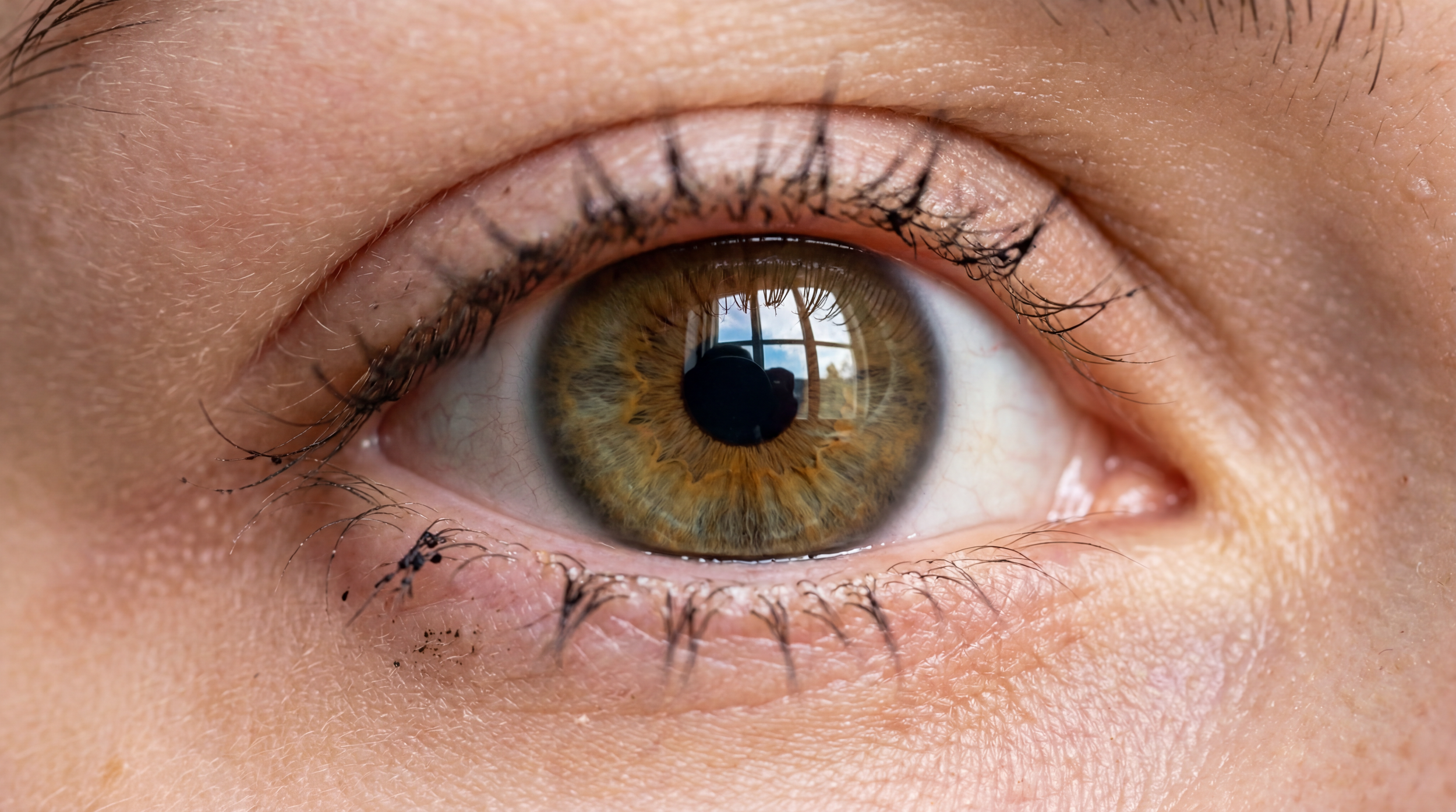 Nano Banana 2 | Realistic Test #1