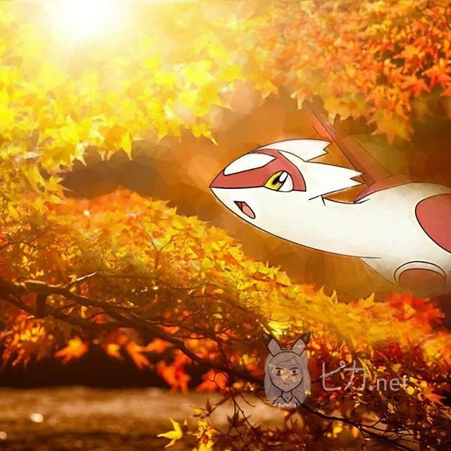 🍁🍁🍁 Autumn is finally here!!! My FAVORITE season! (´。• ω •。`) ♡  I think I'm getting better at editing, what do you think?  Let me know down in the comments section 💛💛💛 OH, AND STAY TUNED TOO, because TOMORROW I'll announc