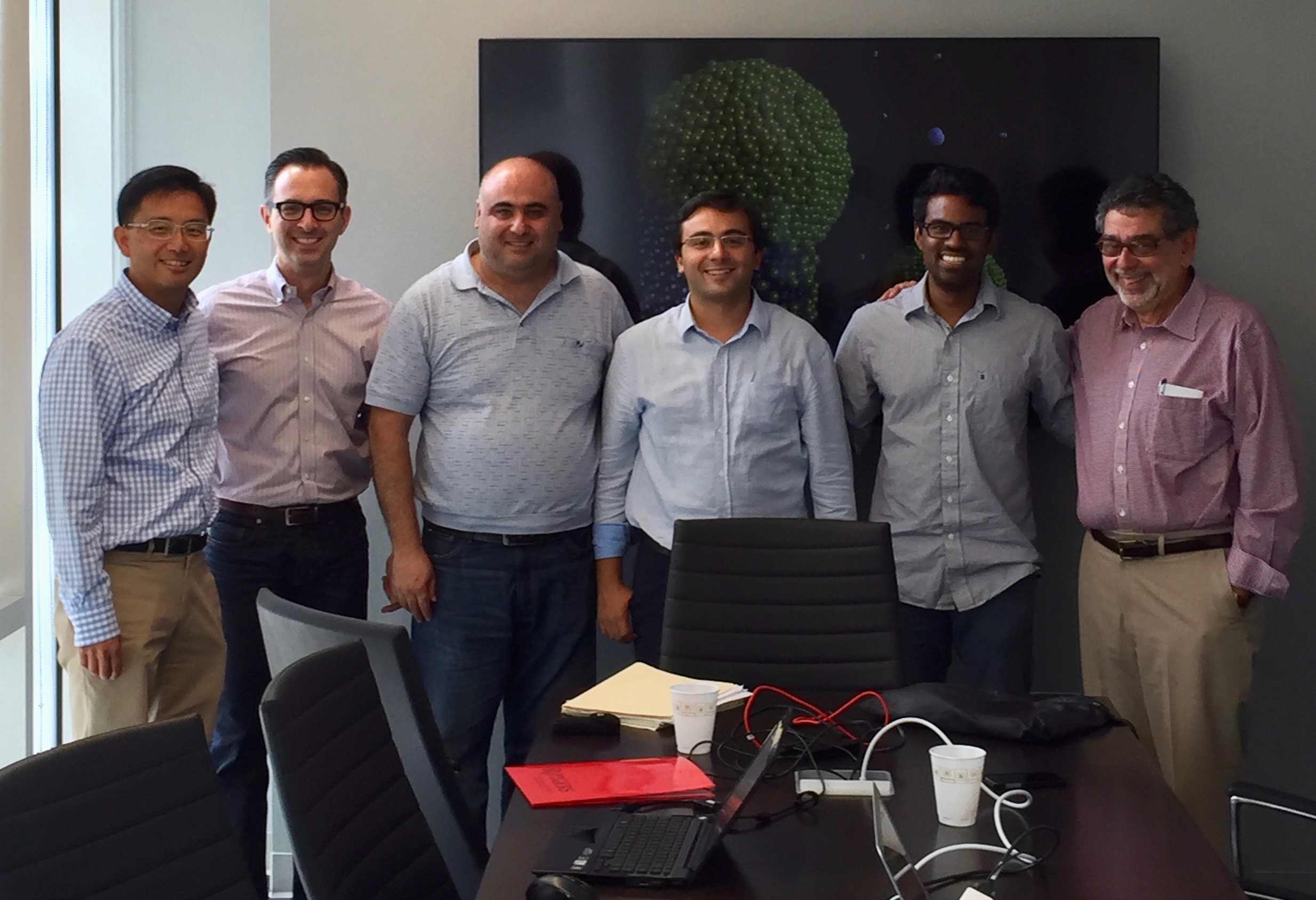 The project team