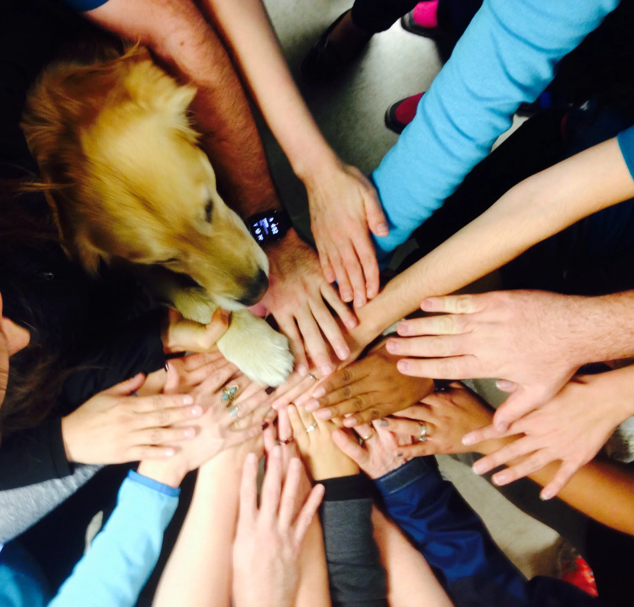 1170 Miles around the Southwest, Sharing Love