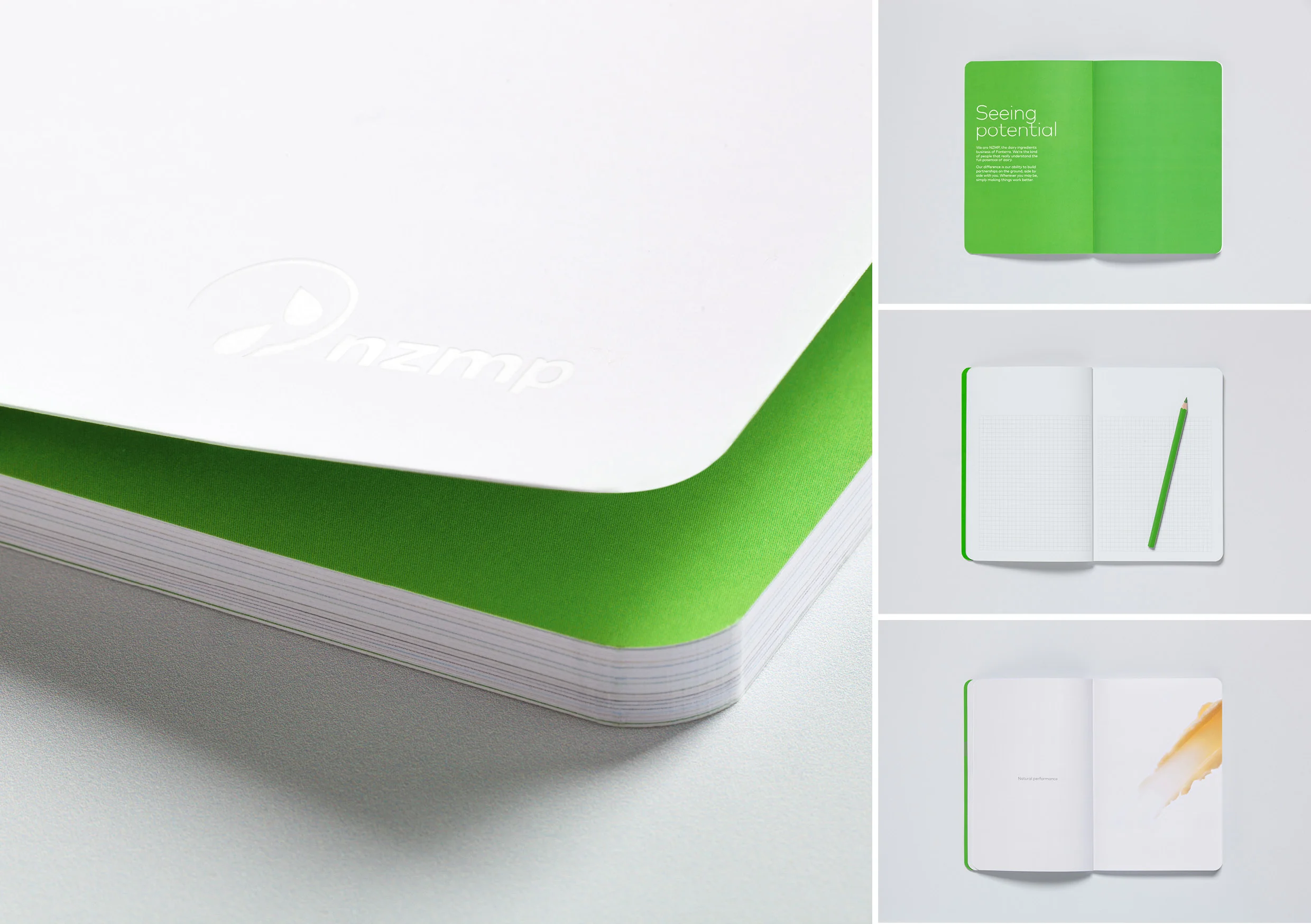 NZMP_Brand_Identity 5.jpg