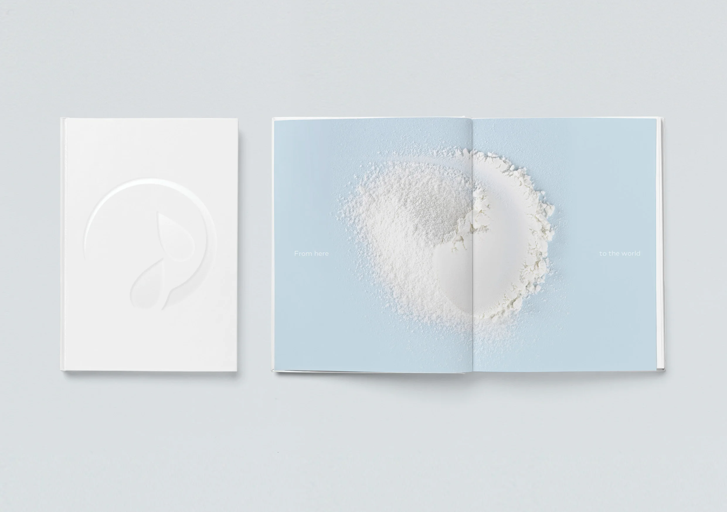 NZMP_Brand_Identity 4.jpg