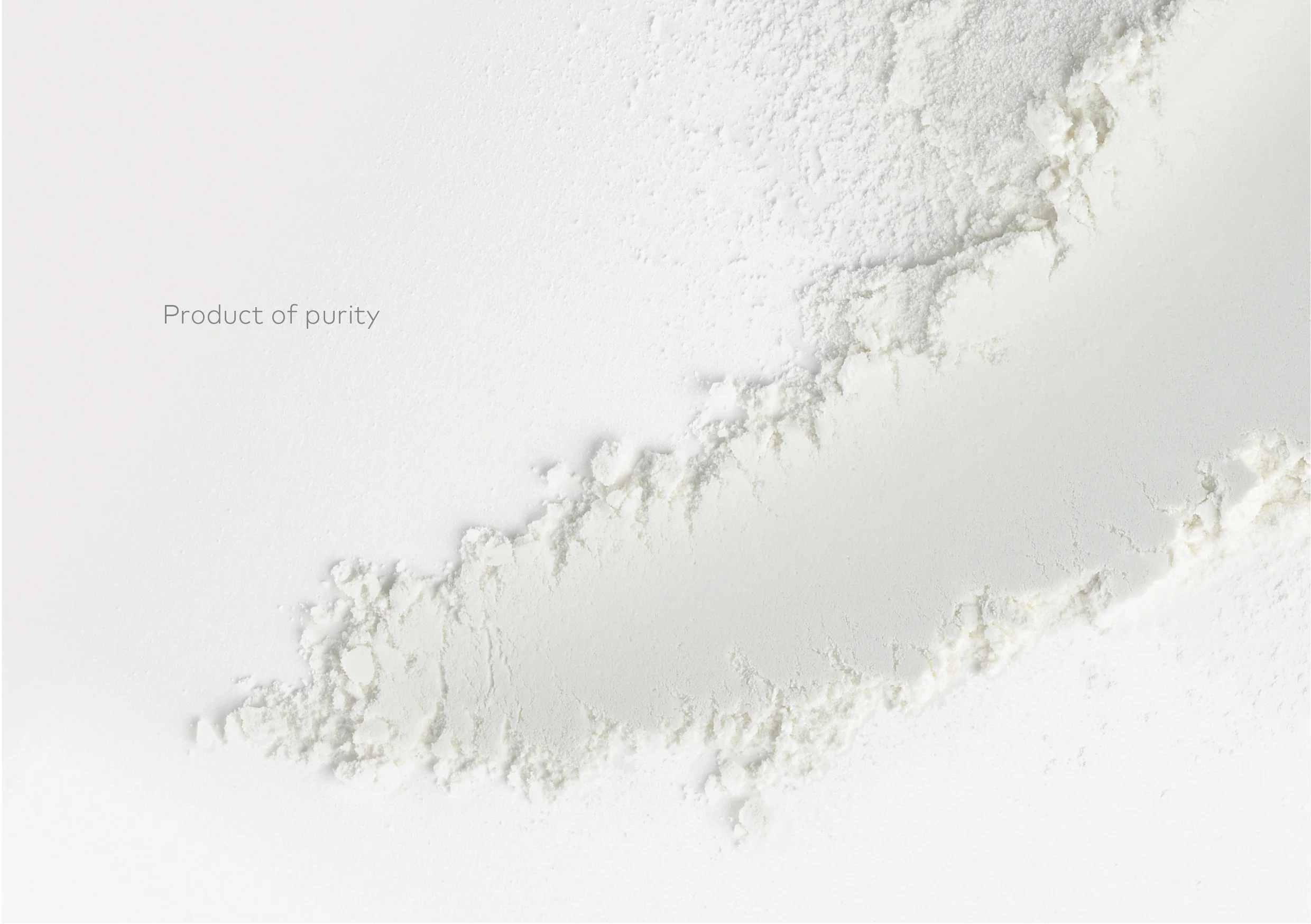 NZMP_Brand_Identity 3.jpg