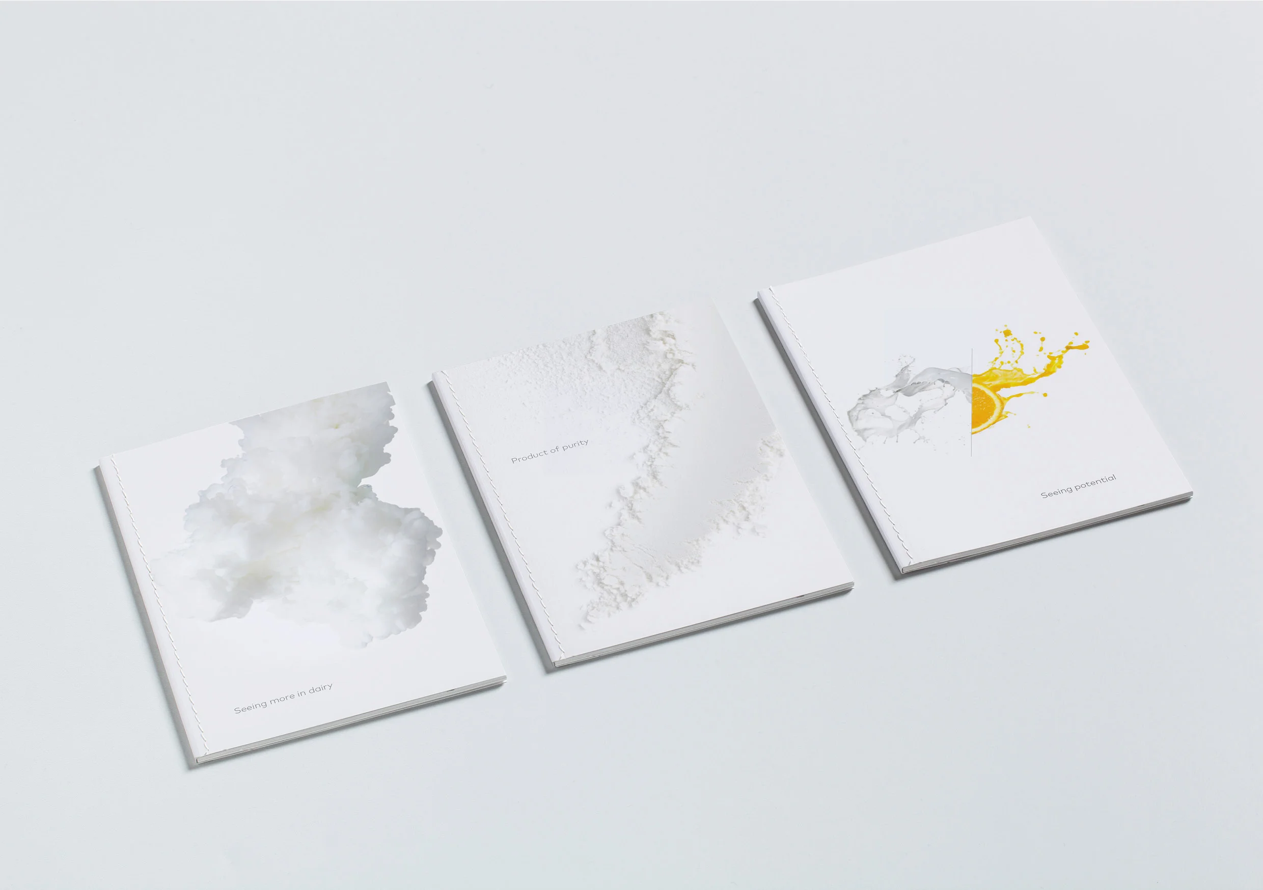 NZMP_Brand_Identity 7.jpg
