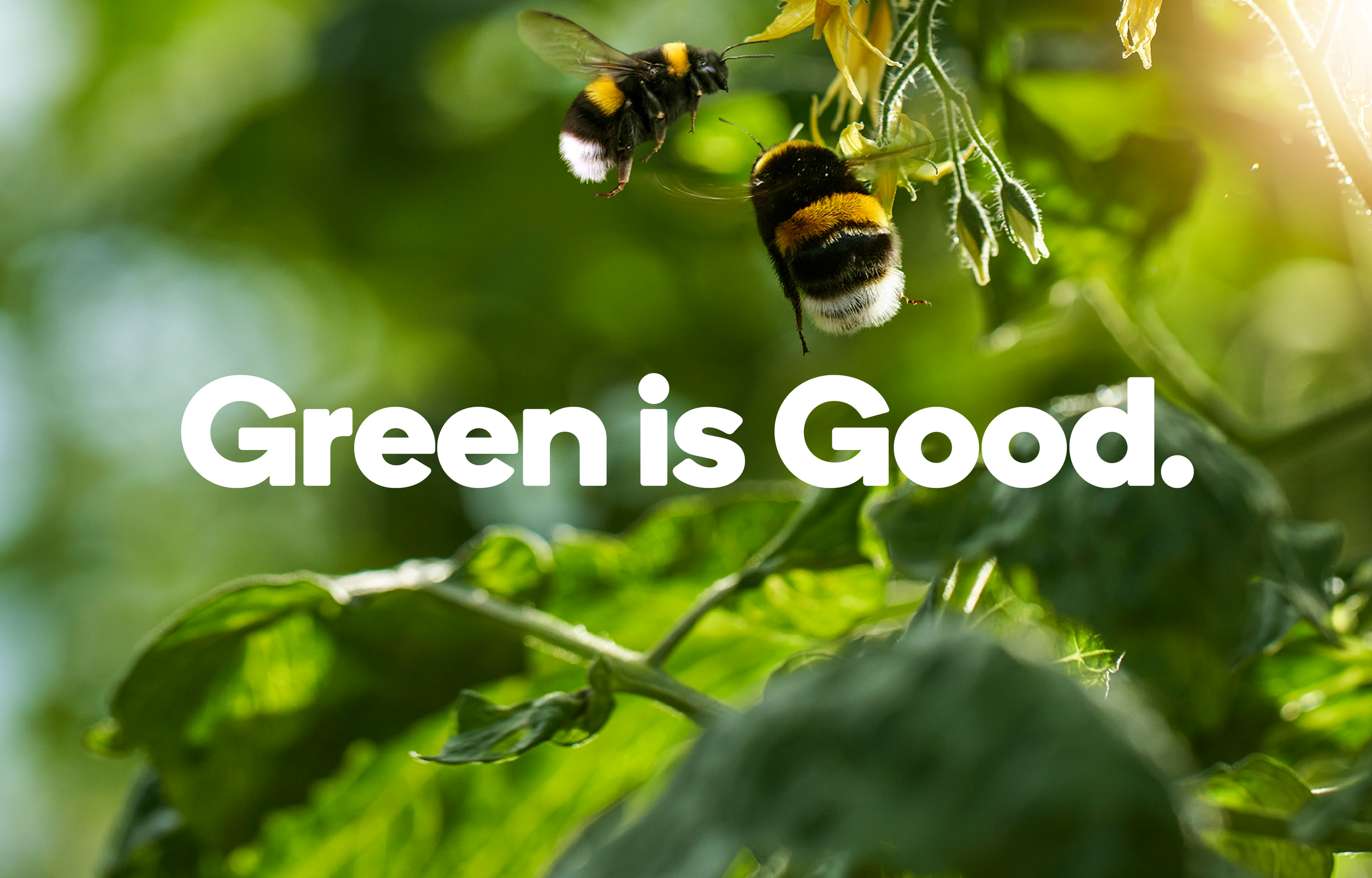 01 Green is Good hero_3750x2400.png