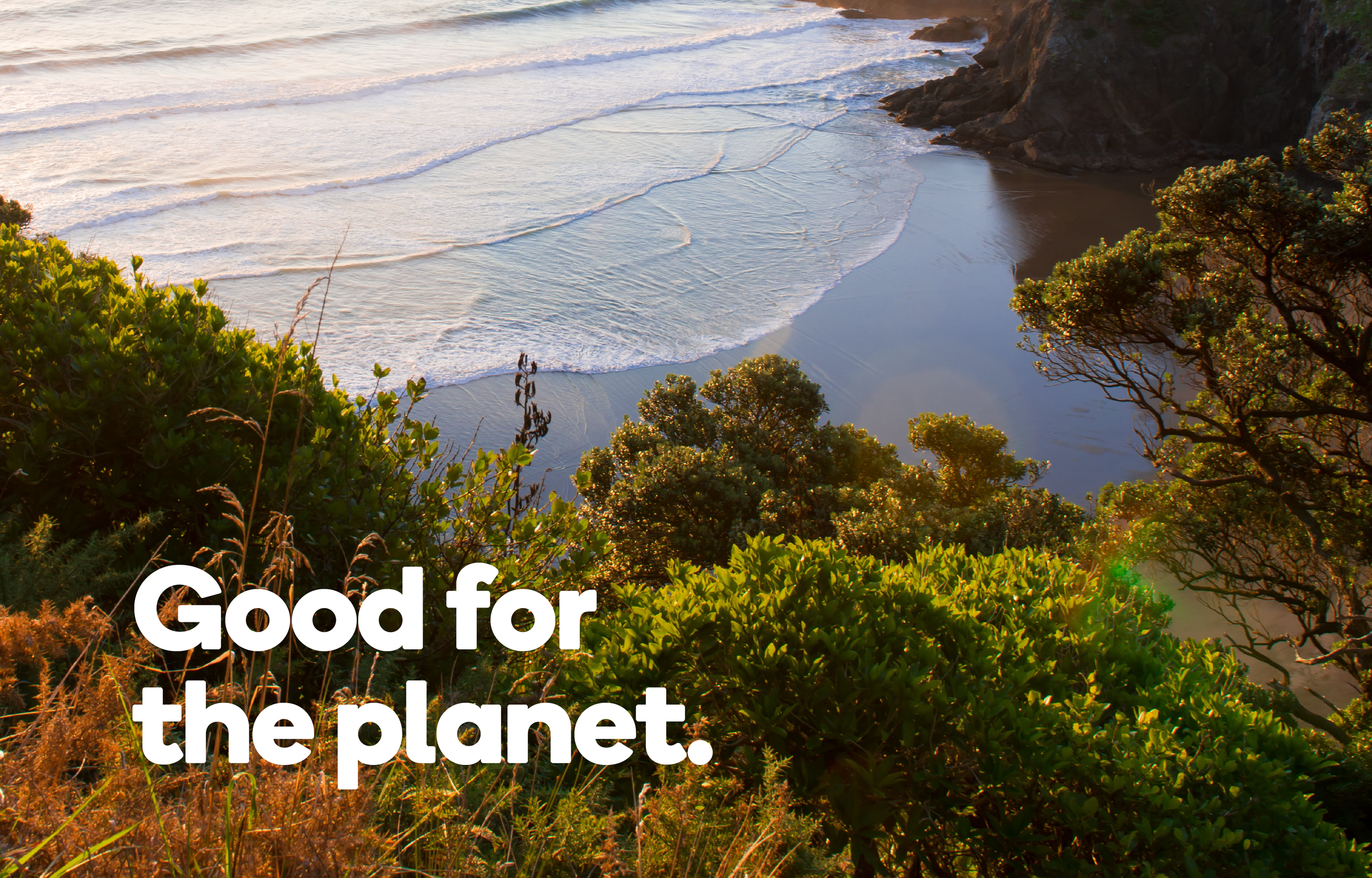 4_Good for Planet.png