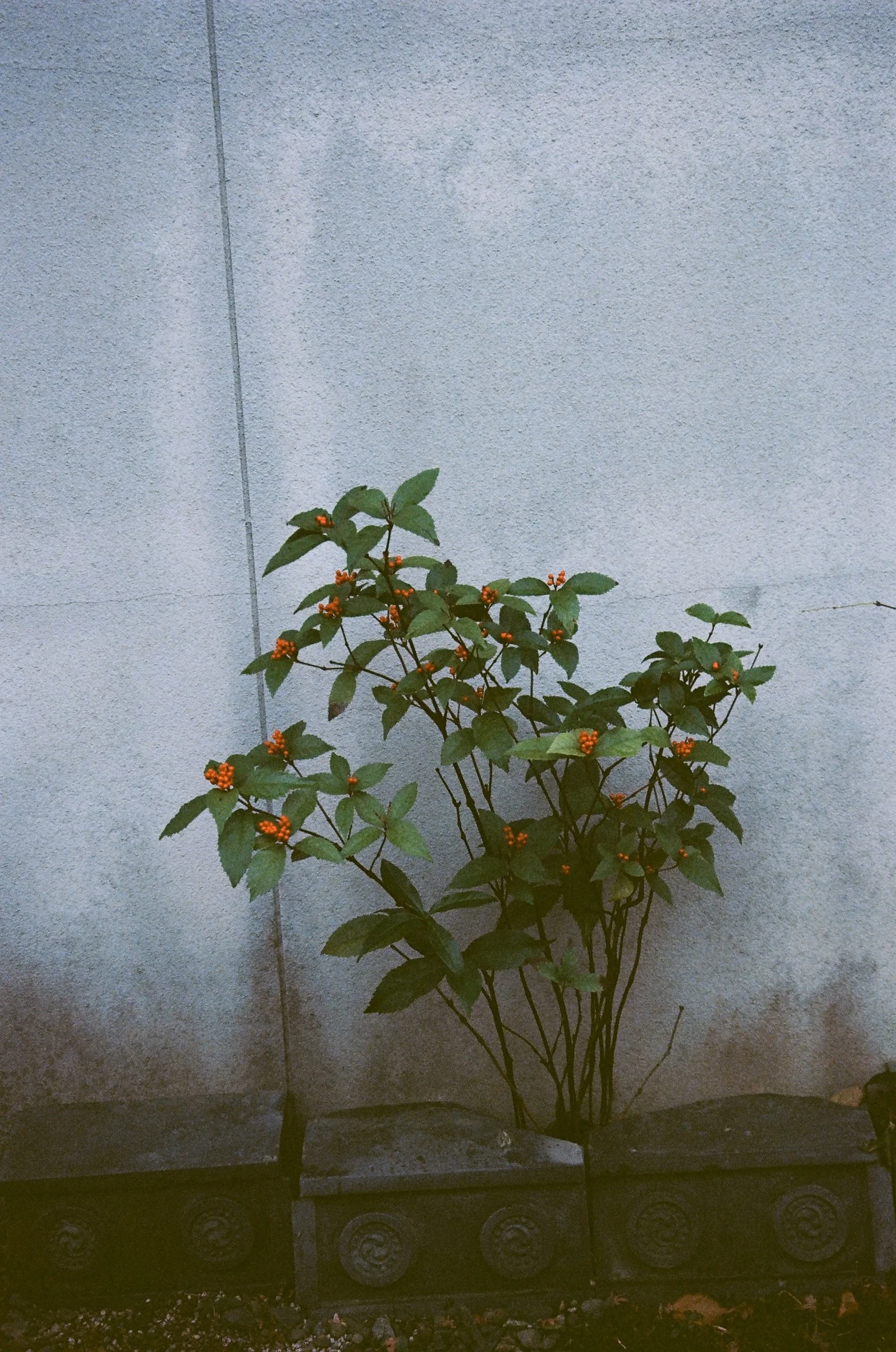 97150033.JPG