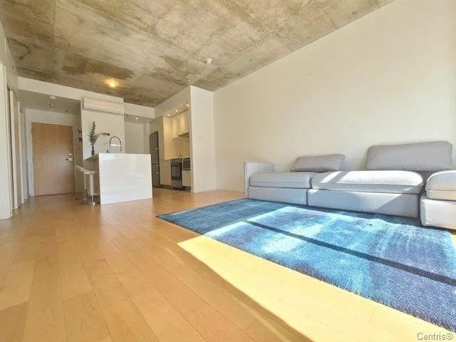 2117, rue Tupper, app. 502 (Ville-Marie) H3H 0B2