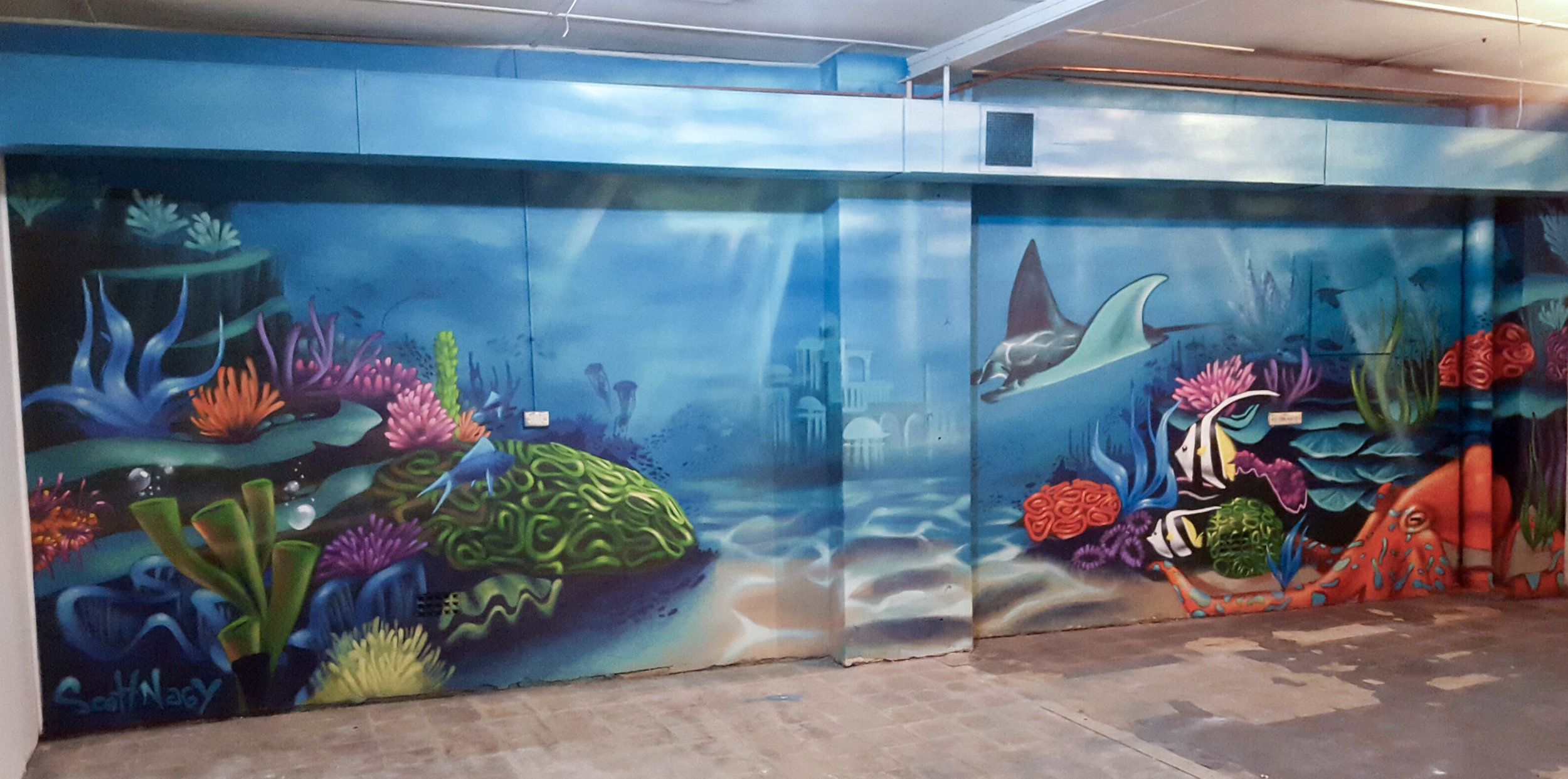 Reef_01.jpg