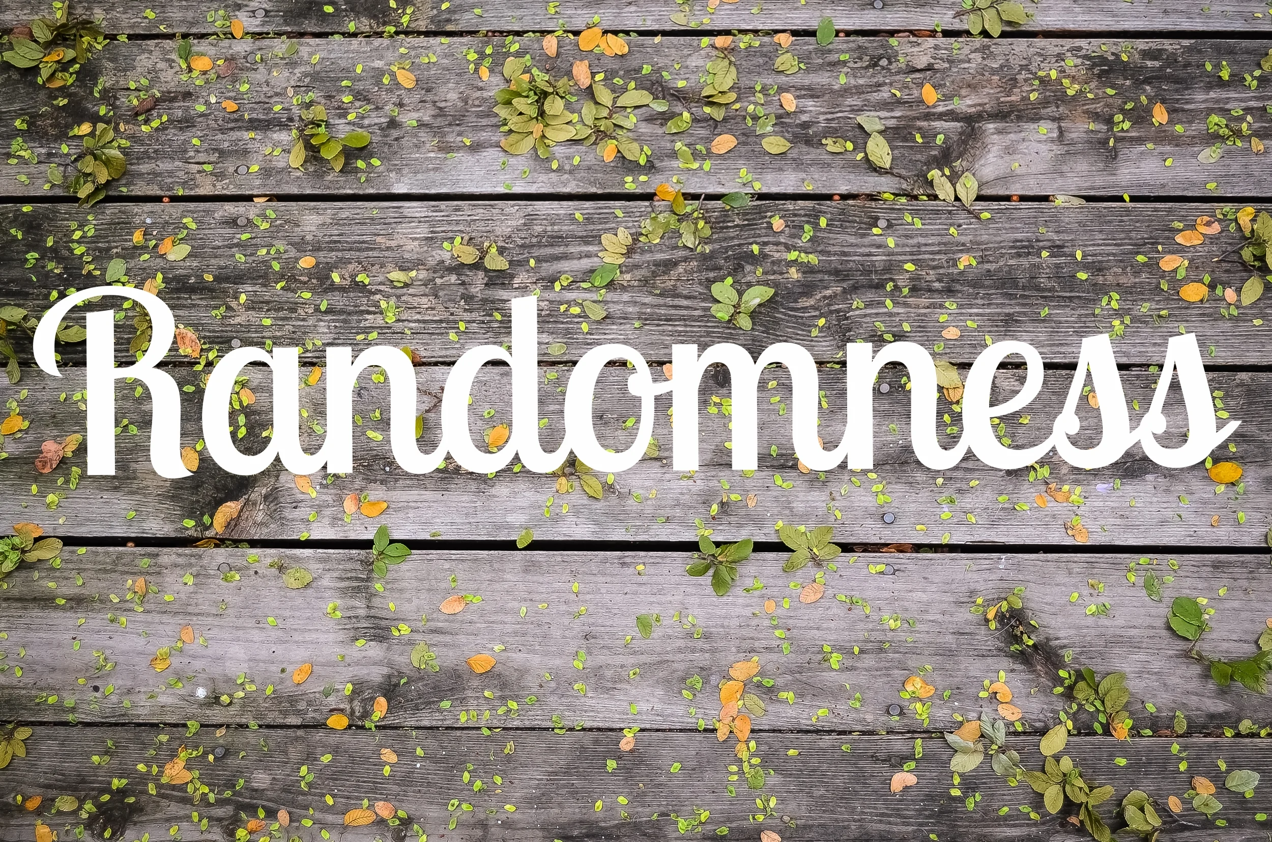 deck with leaves.JPG