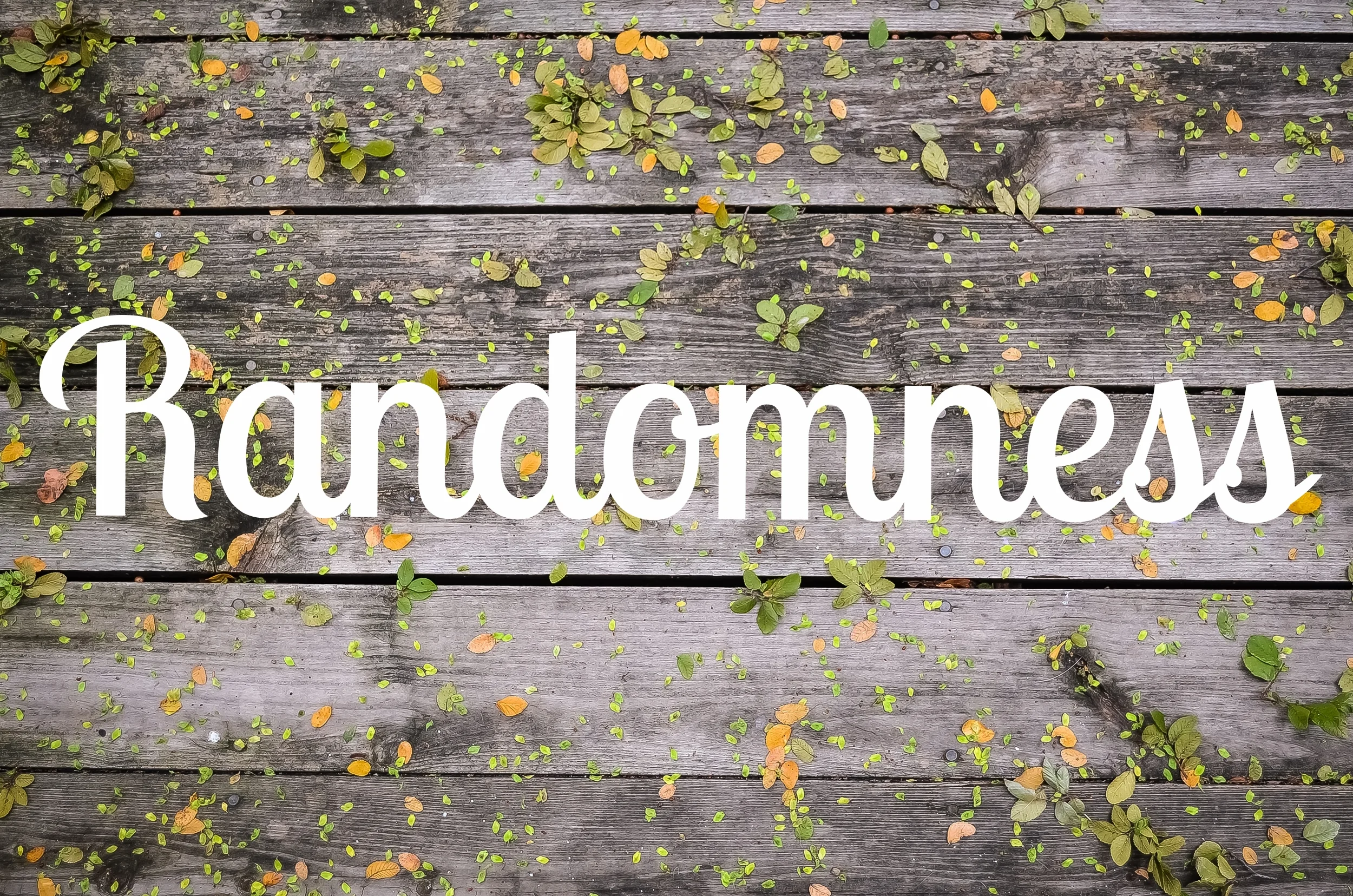 deck with leaves.JPG