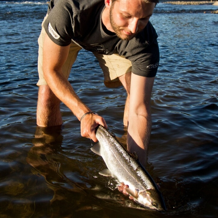 Summer Steelhead Fly Fishing Rogue River