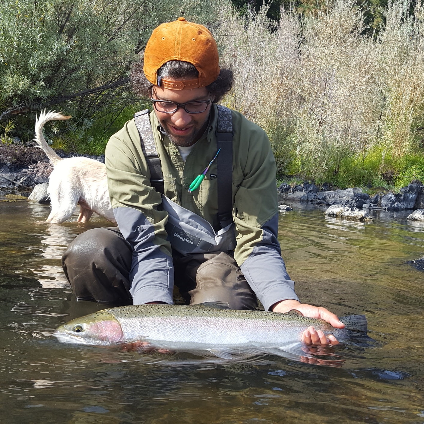 Rogue River Spey Fishing