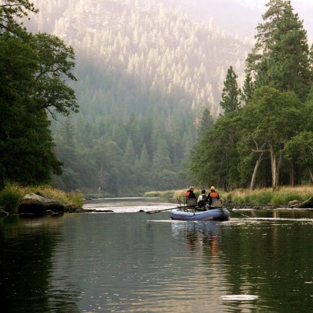 Klamath River Trout