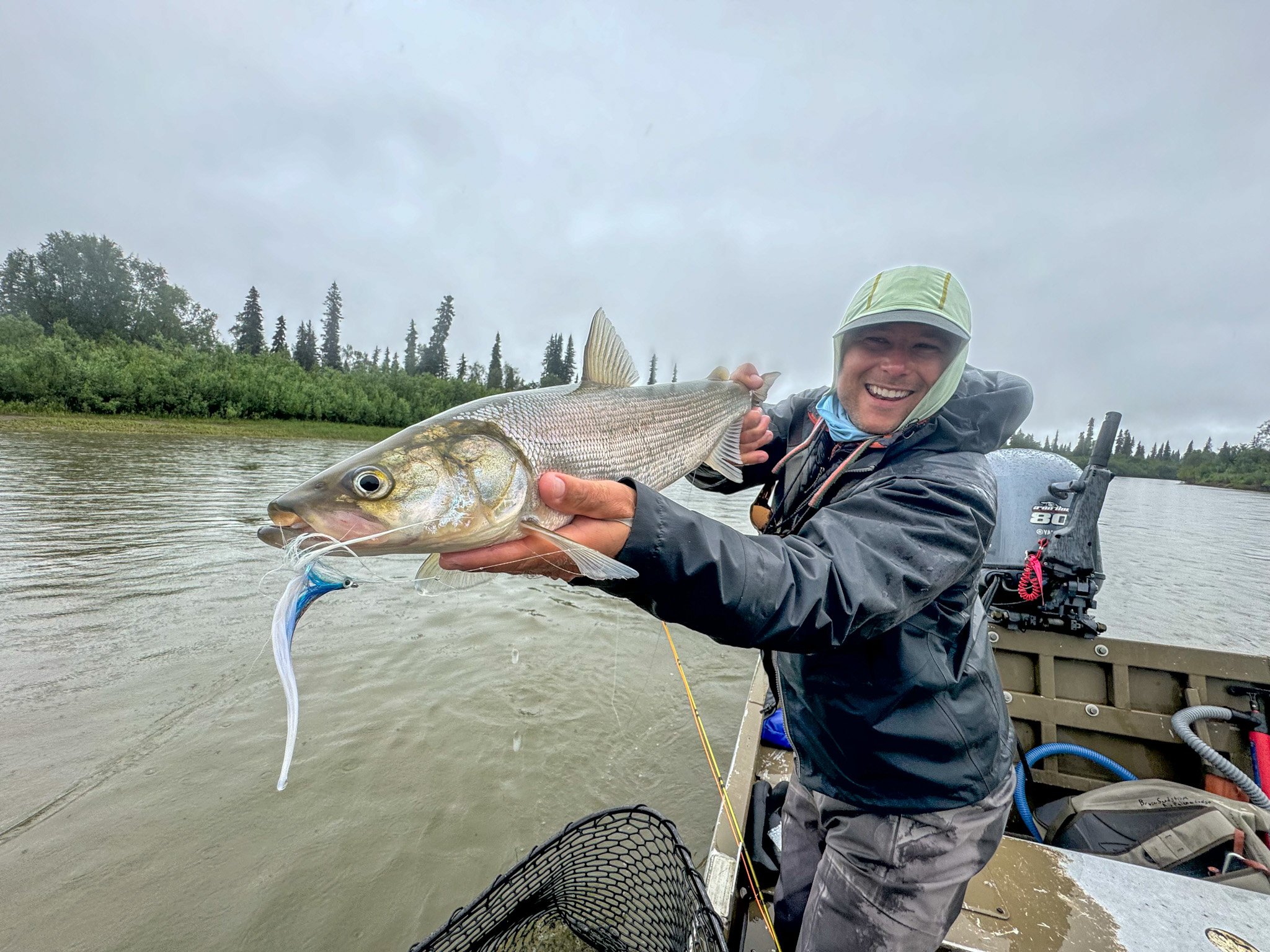 Aniak Sheefish on swung smolt pattern