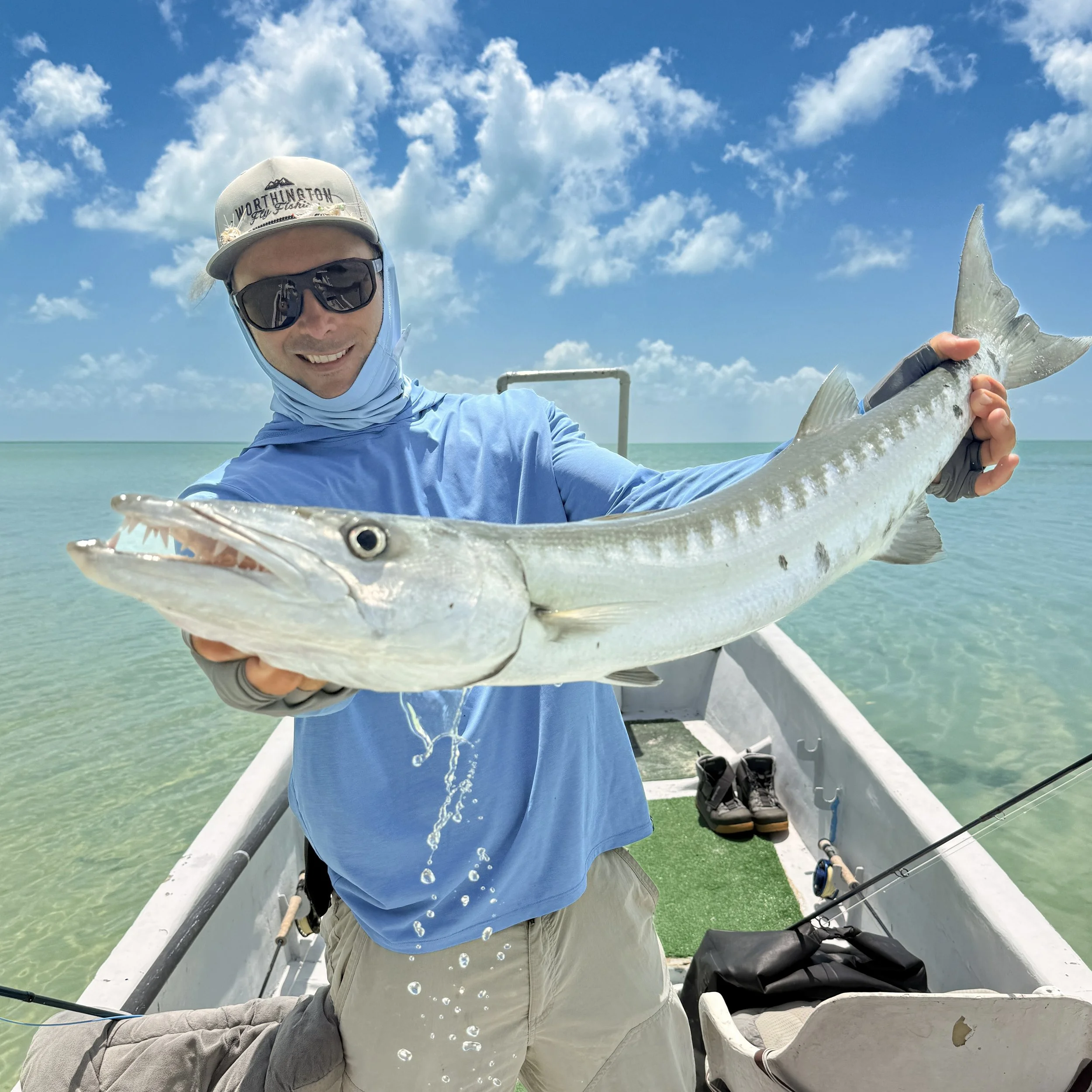 xcalak Barracuda