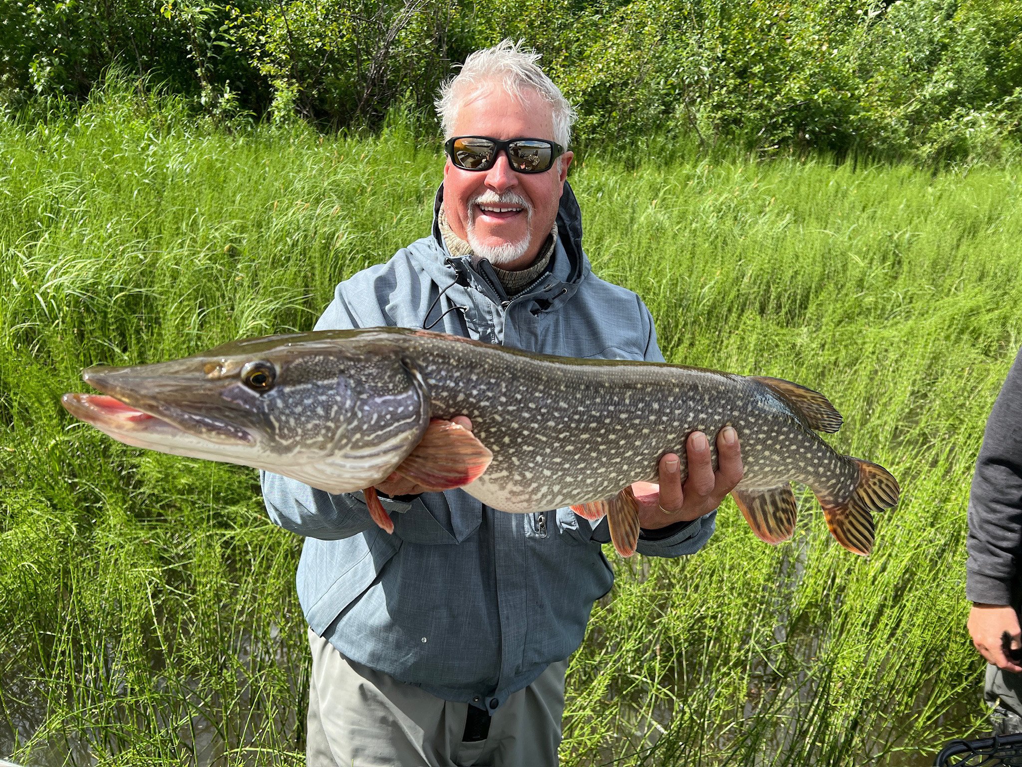 Aniak river Pike