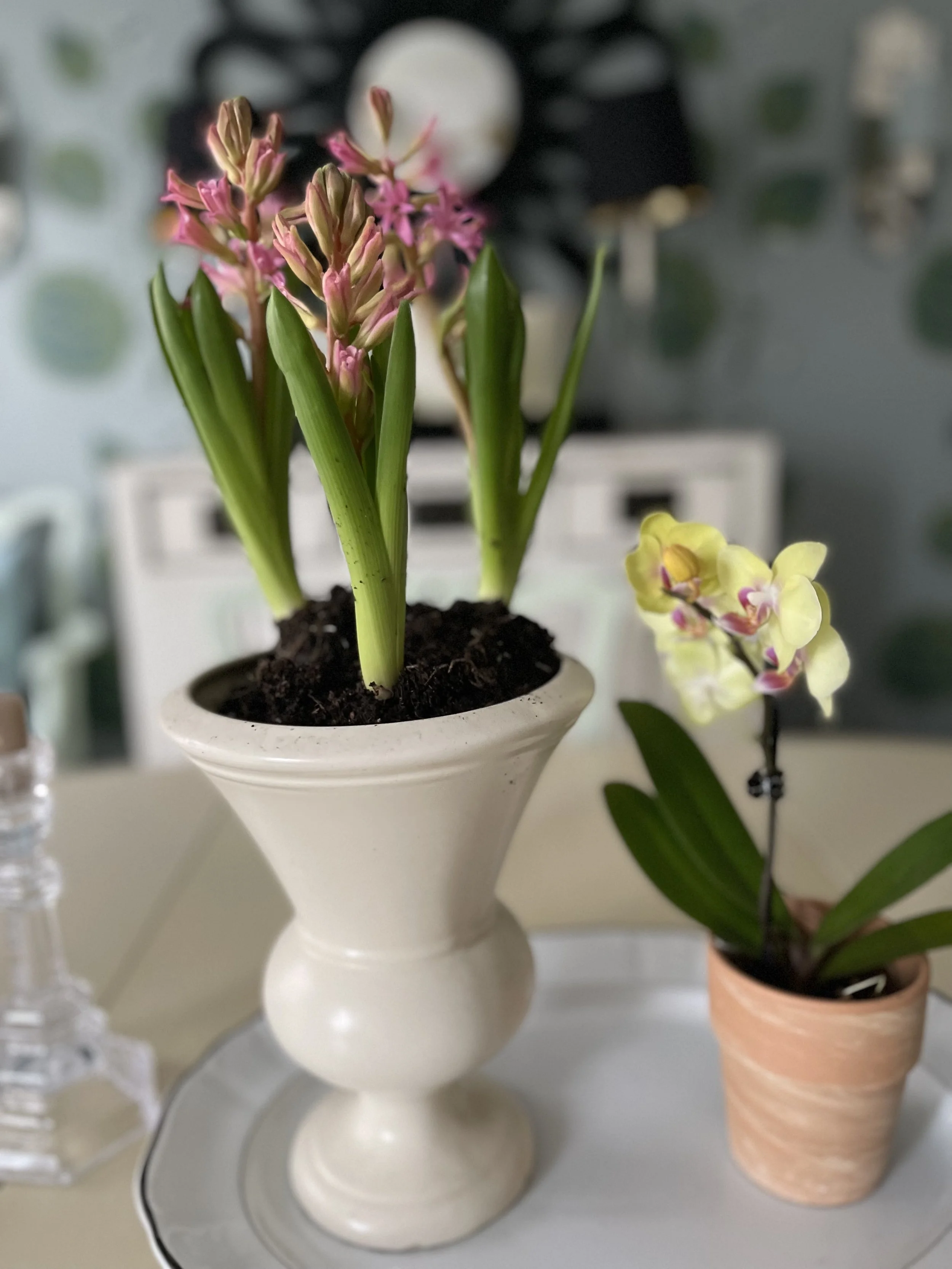 SpringFlowers.jpg